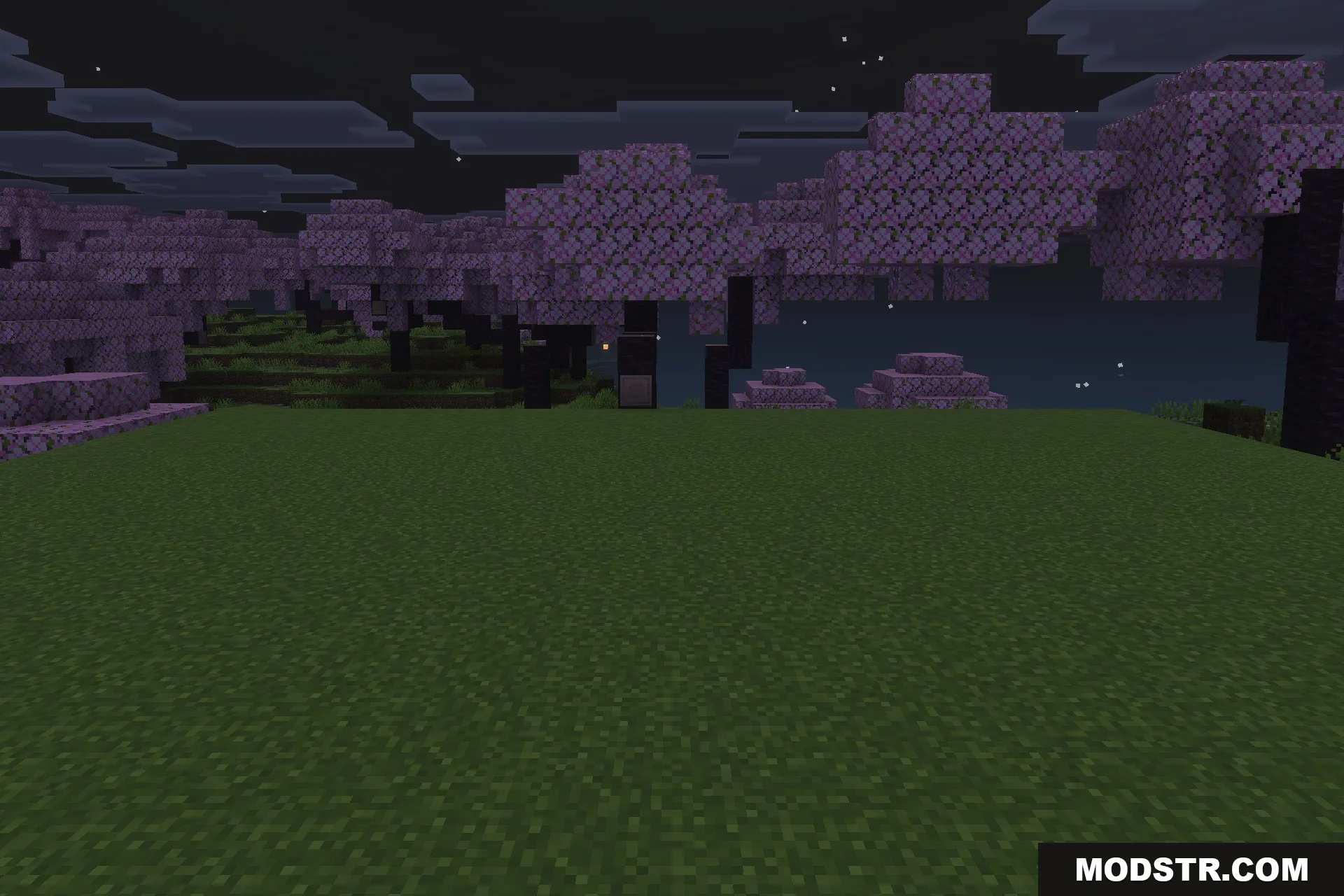 Lilium Dynamic Light Addon Screenshot 1 A small light source illuminates the dark cherry blossom grove at night