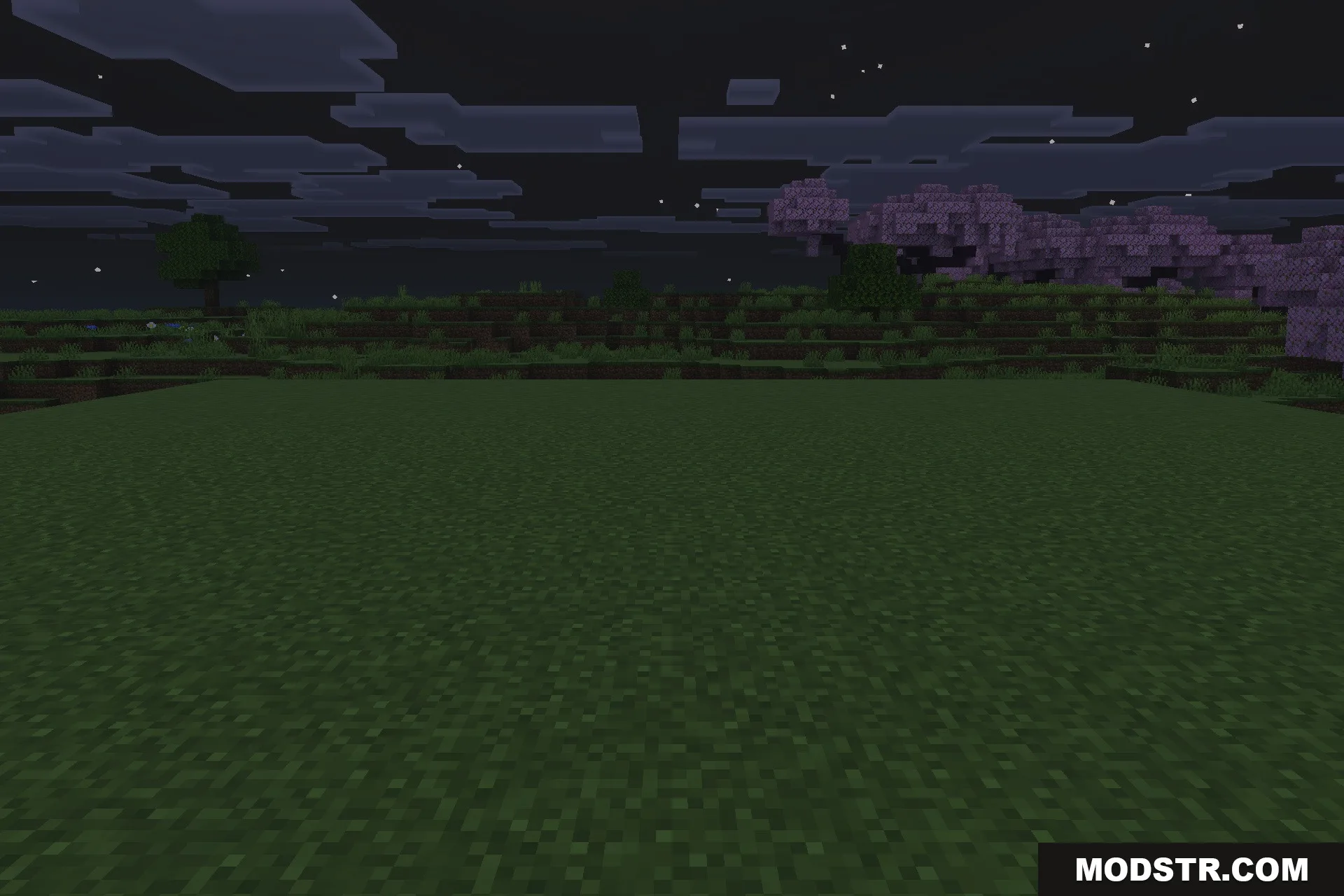 Lilium Dynamic Light Addon Screenshot 5 Dark Minecraft landscape at night with a flat grassy field and cherry trees