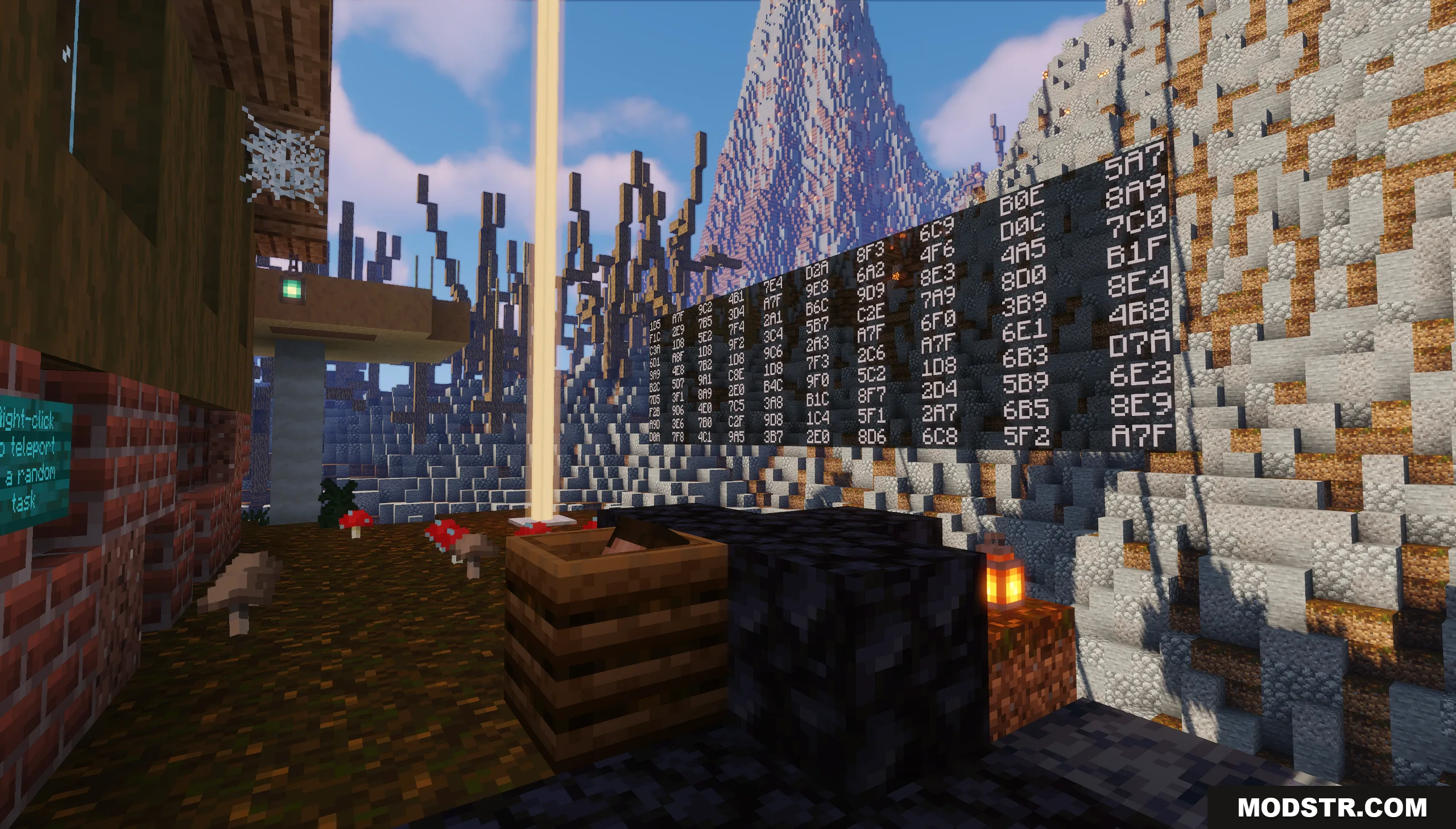 Logical Codes on the Island Map Screenshot 8 A large wall covered in three character codes for a Minecraft logic puzzle
