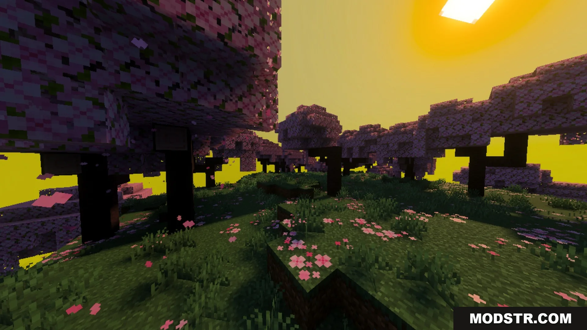 Luminous Vibrant Visual Shader Screenshot 6 Cherry blossom trees under a vibrant yellow sky with warm sunlight effects