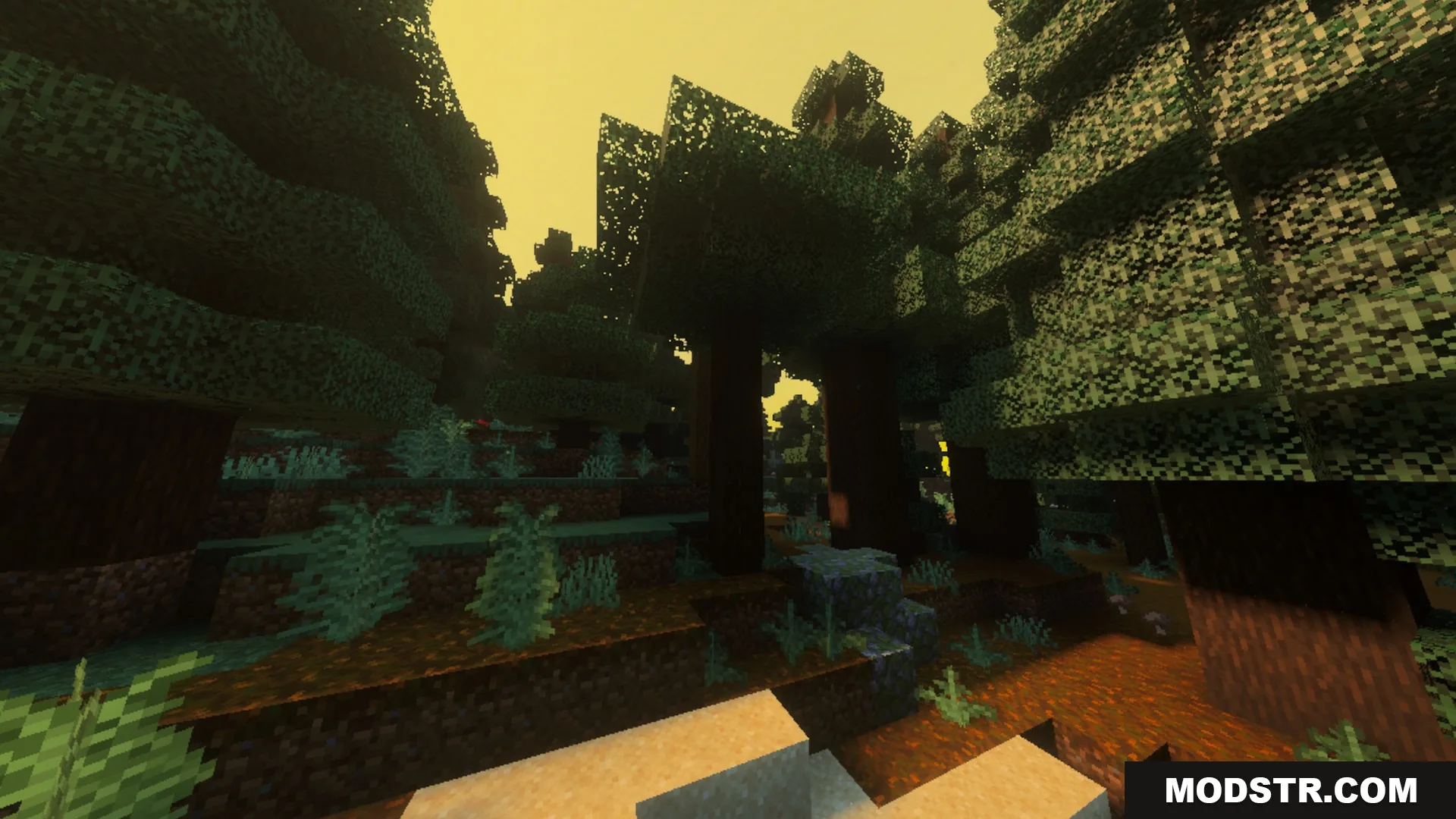 Luminous Vibrant Visual Shader Screenshot 8 Sunlight creates a warm glow through the trees in a spruce forest biome