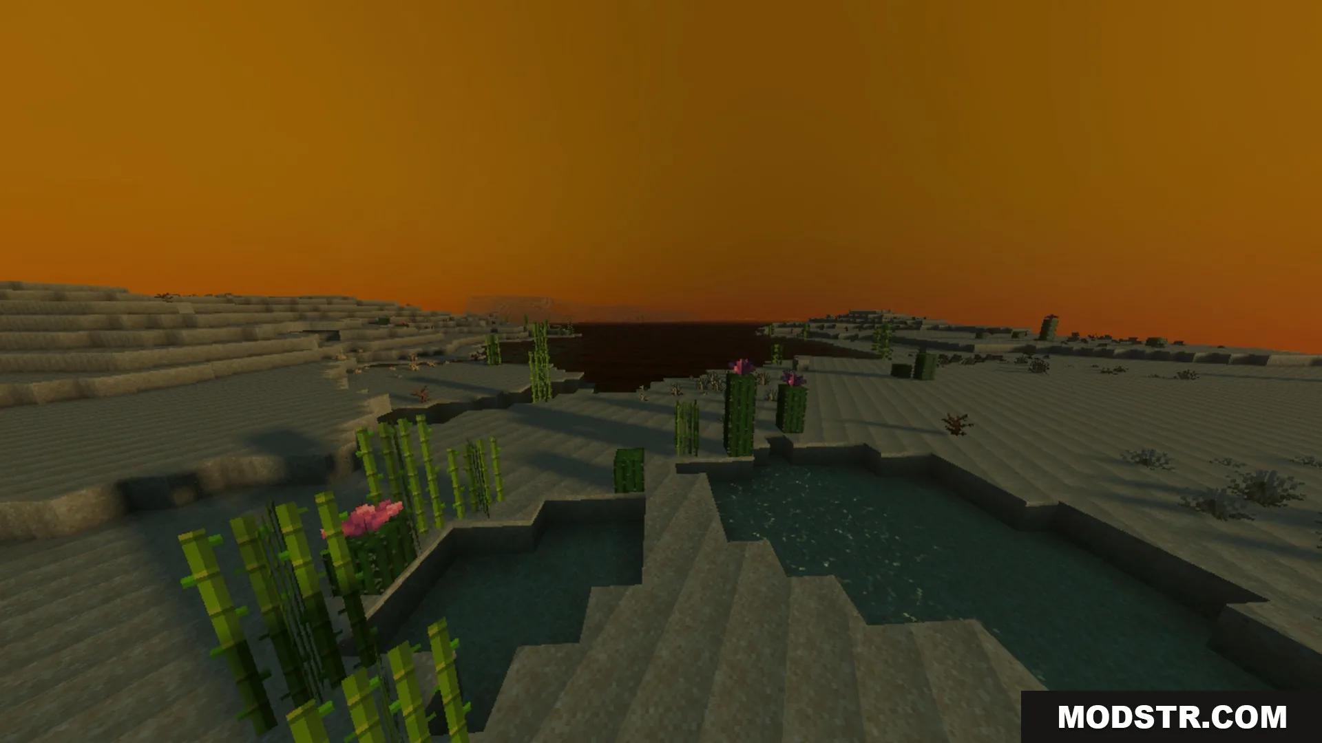 Luminous Vibrant Visual Shader Screenshot 9 A desert biome featuring a small pond and cacti under a glowing orange sunset