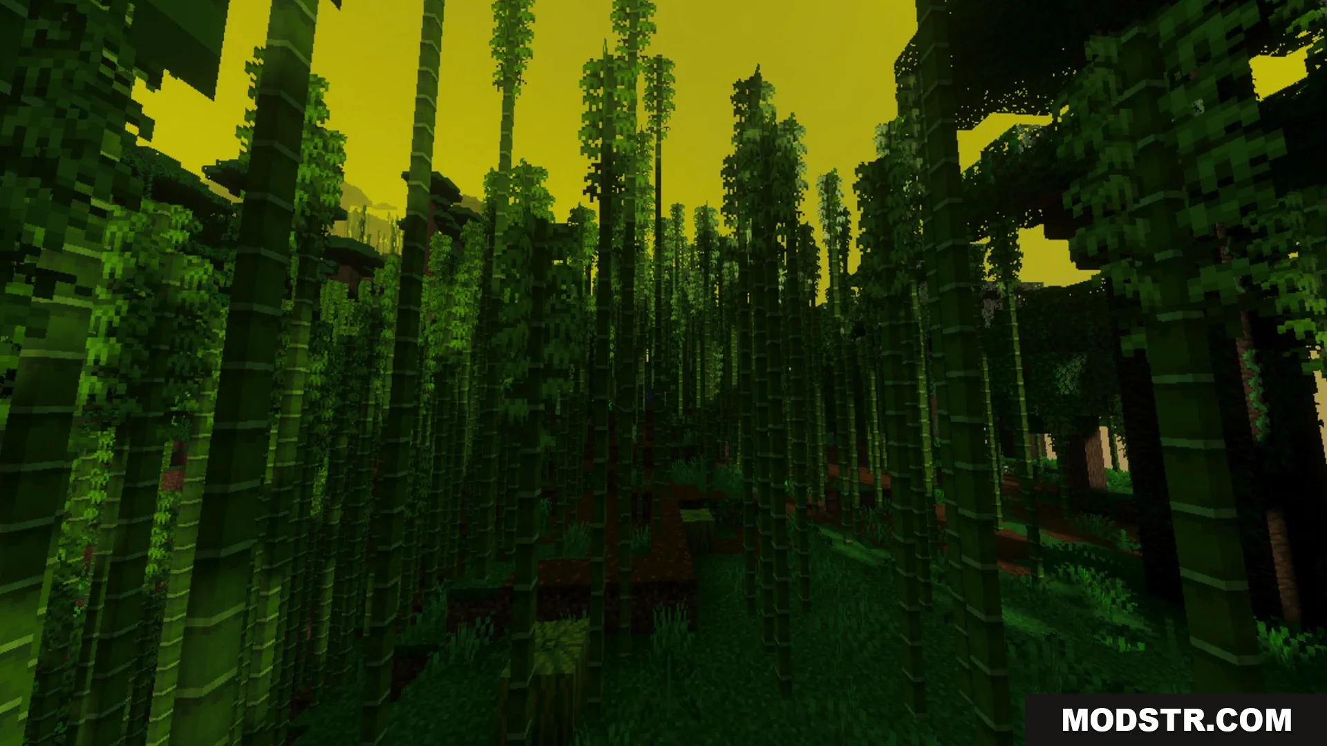 Luminous Vibrant Visual Shader Screenshot 10 Tall bamboo stalks in a dense forest under a bright yellow cinematic sky