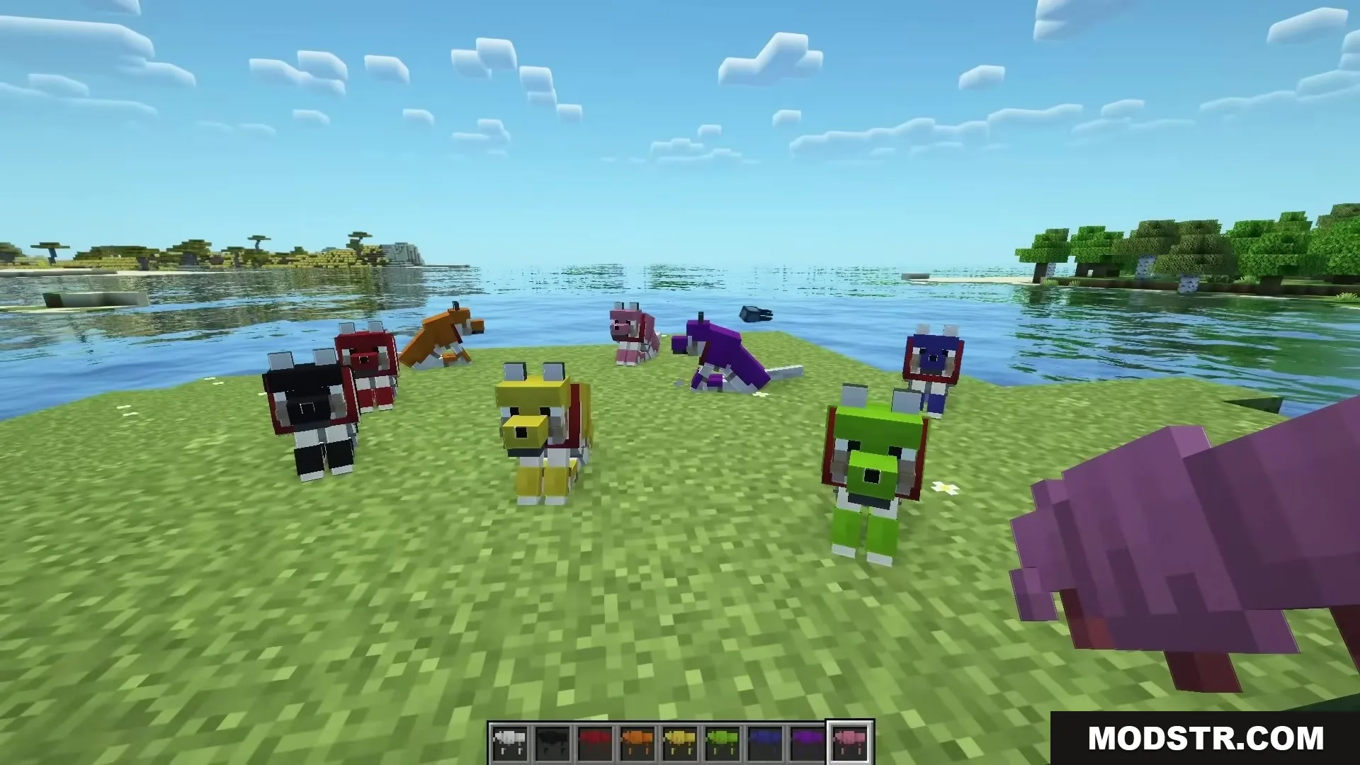 Magical Debug Stick Resource Pack Screenshot 1 A pack of colorful wolves gathered on a grassy field by the water