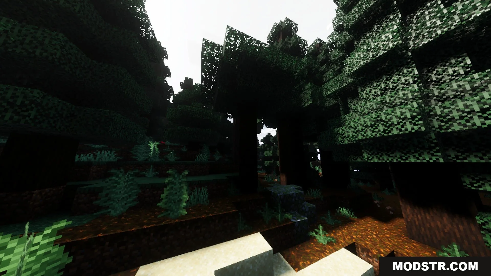 Mahou Vibrant Visual Shader Screenshot 2 Sunlight filters through the canopy of a dense spruce forest with deep shadows