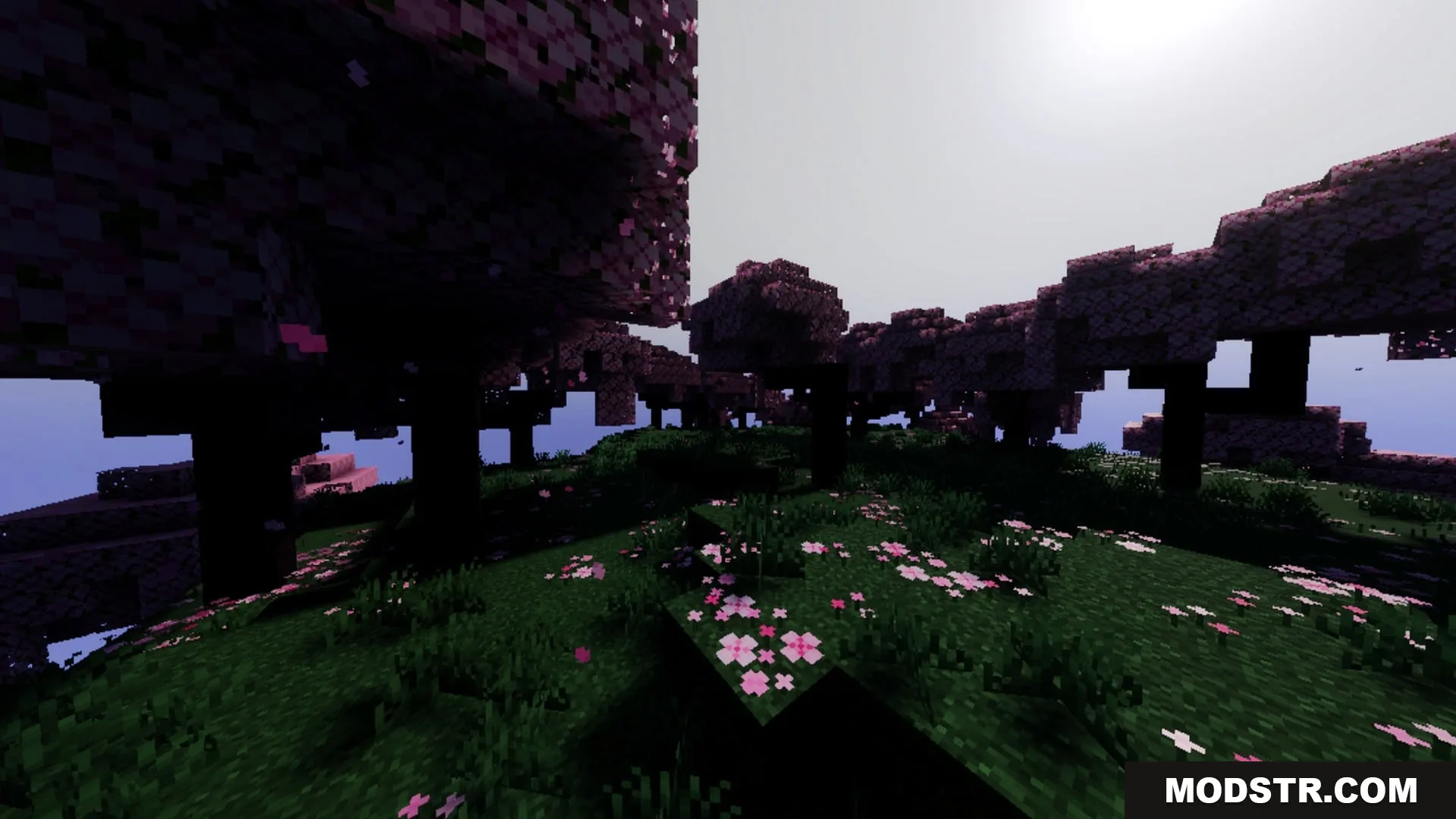 Mahou Vibrant Visual Shader Screenshot 1 Vibrant cherry blossom biome featuring pink trees and atmospheric fog under bright light