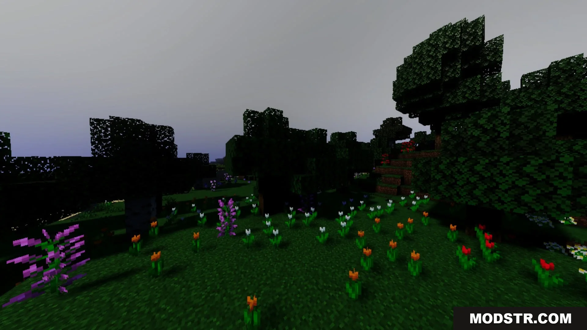 Mahou Vibrant Visual Shader Screenshot 4 Vibrant flowers grow in a dark forest biome under a thick grey fog