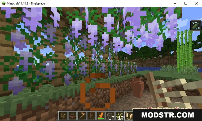 Beautiful purple wisteria flowers hanging from a wooden trellis in a garden