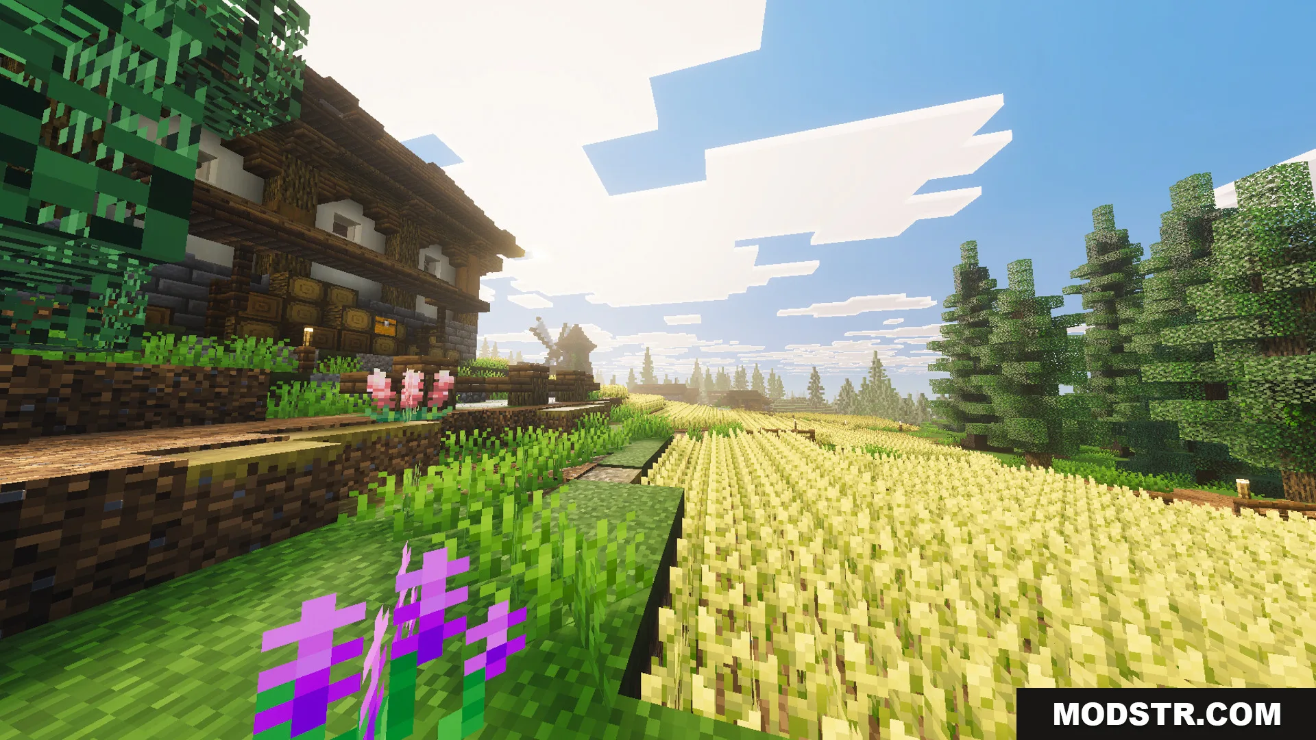 Medieval Village Gendrys Tavern Map Screenshot 6 Golden wheat fields stretching towards a tall windmill under a bright sky