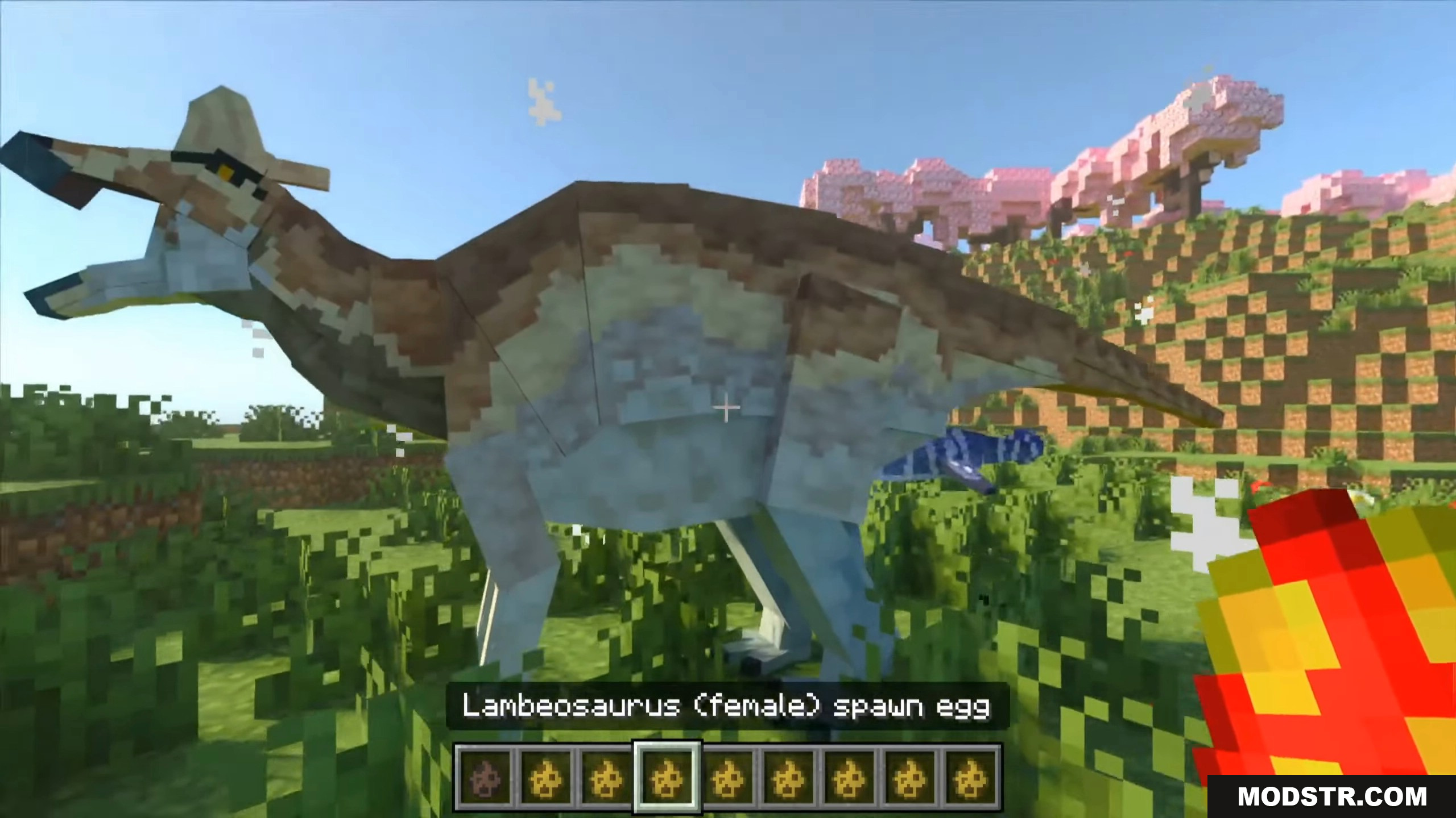 Mesozoic Biology Addon Screenshot 14 Player holding a dinosaur egg to hatch a male Diplodocus