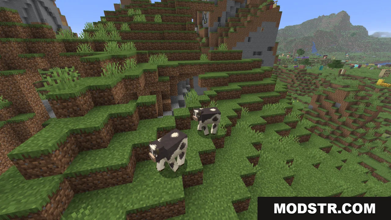 Two spotted cows walking along a steep grassy slope in a hilly biome