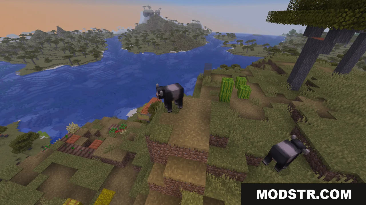 Two black and white cows standing on a cliff overlooking a wide river