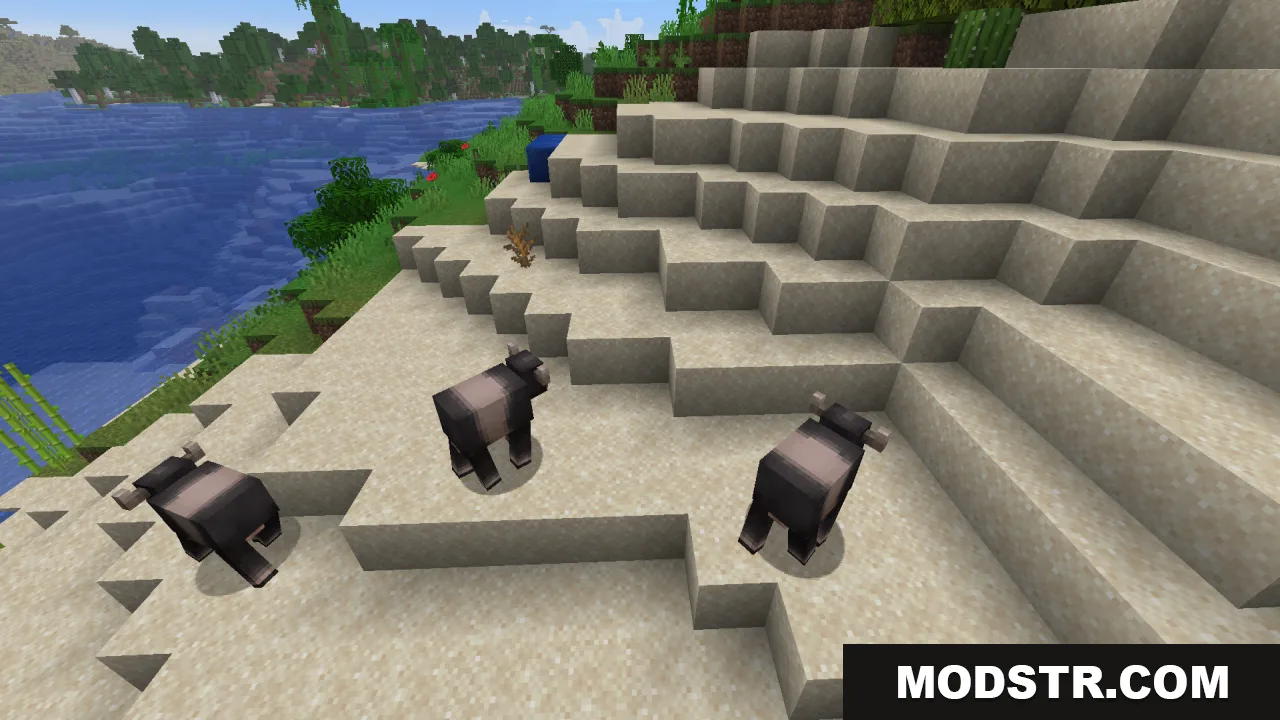Three dark buffalo variants standing on a sandy beach near the water