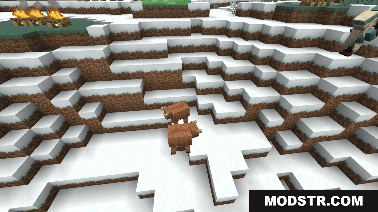 Two brown cows with horns standing on a snowy hill in Minecraft