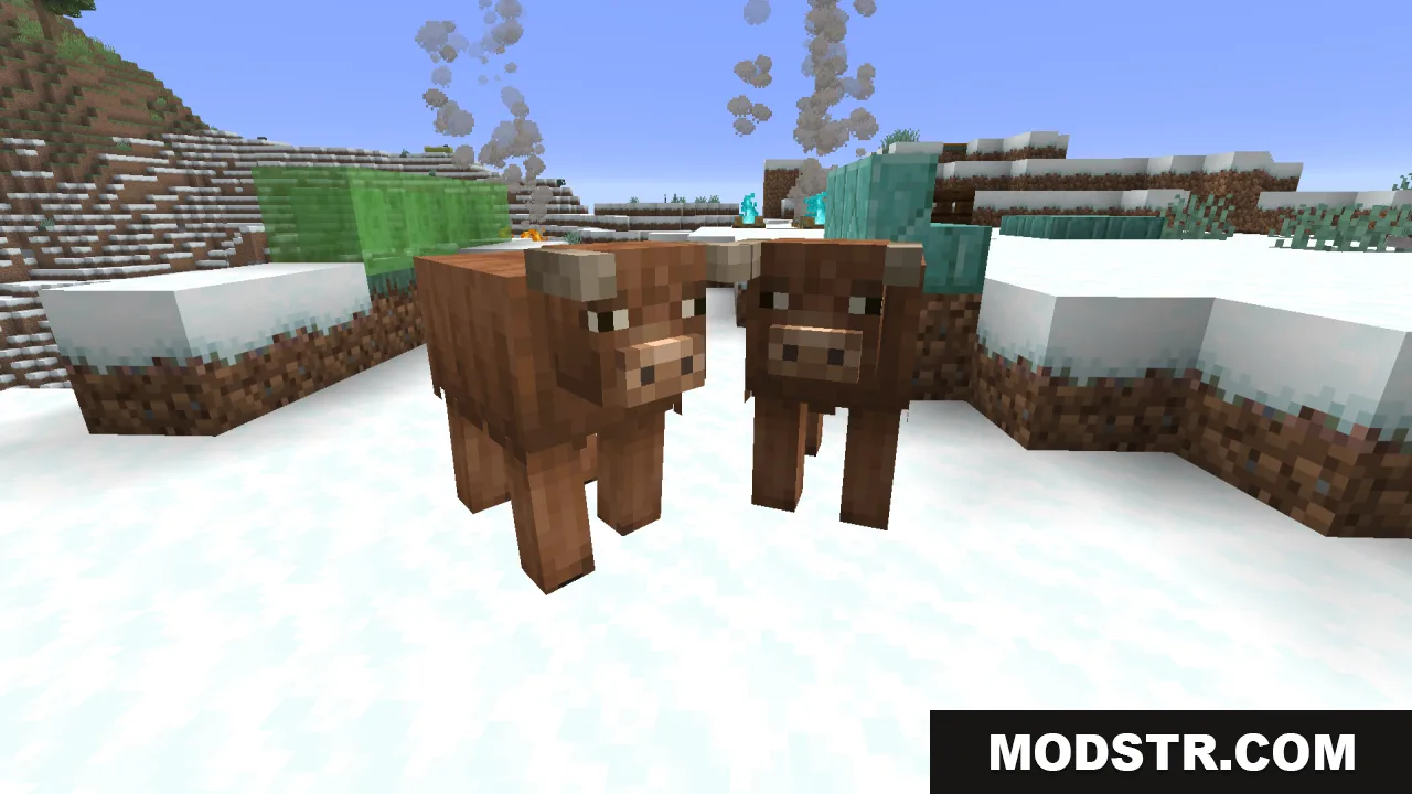Two fluffy brown cows standing together in a snowy Minecraft winter biome