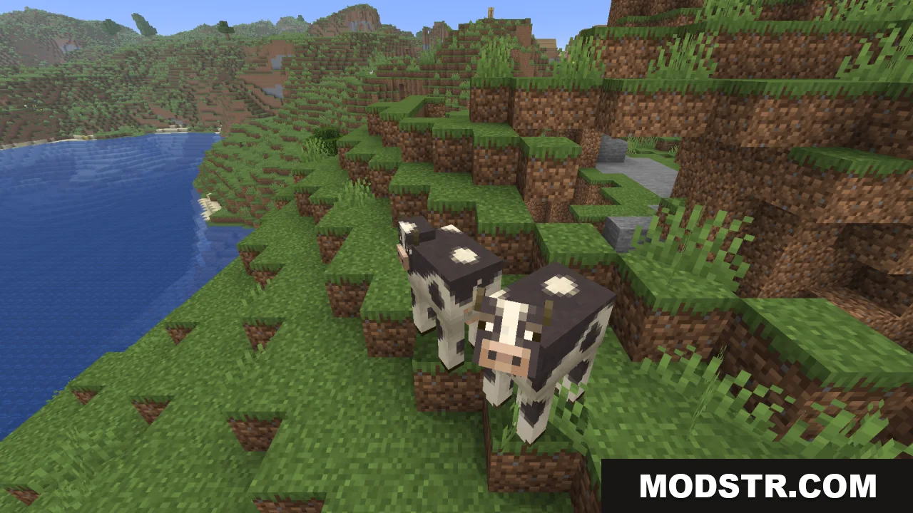 Two black and white cows standing on a grassy hill overlooking a lake