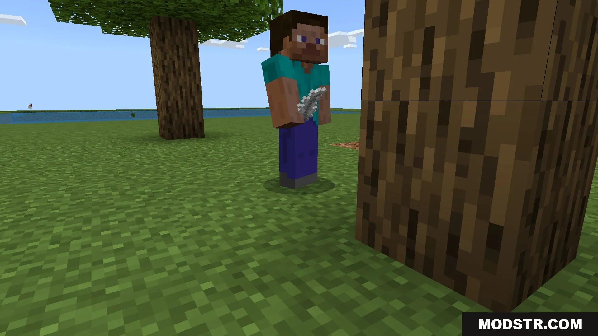Holding a chicken while you explore