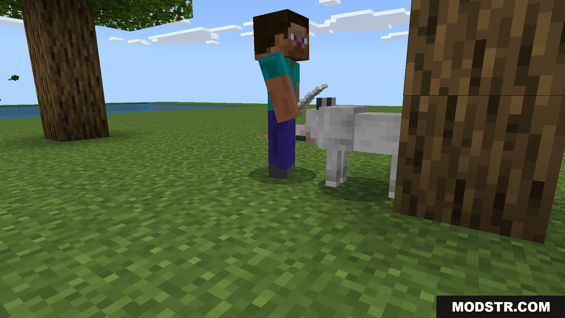Lifting a wolf to carry it around the world