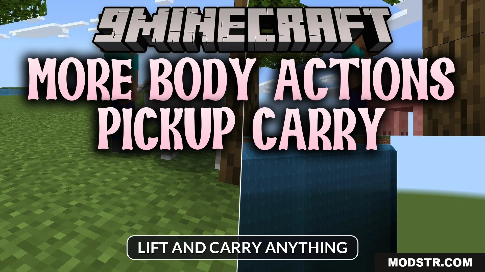 More Body Actions Pickup Carry Addon (26.x, 1.21) – Lift And Carry Anything cover art