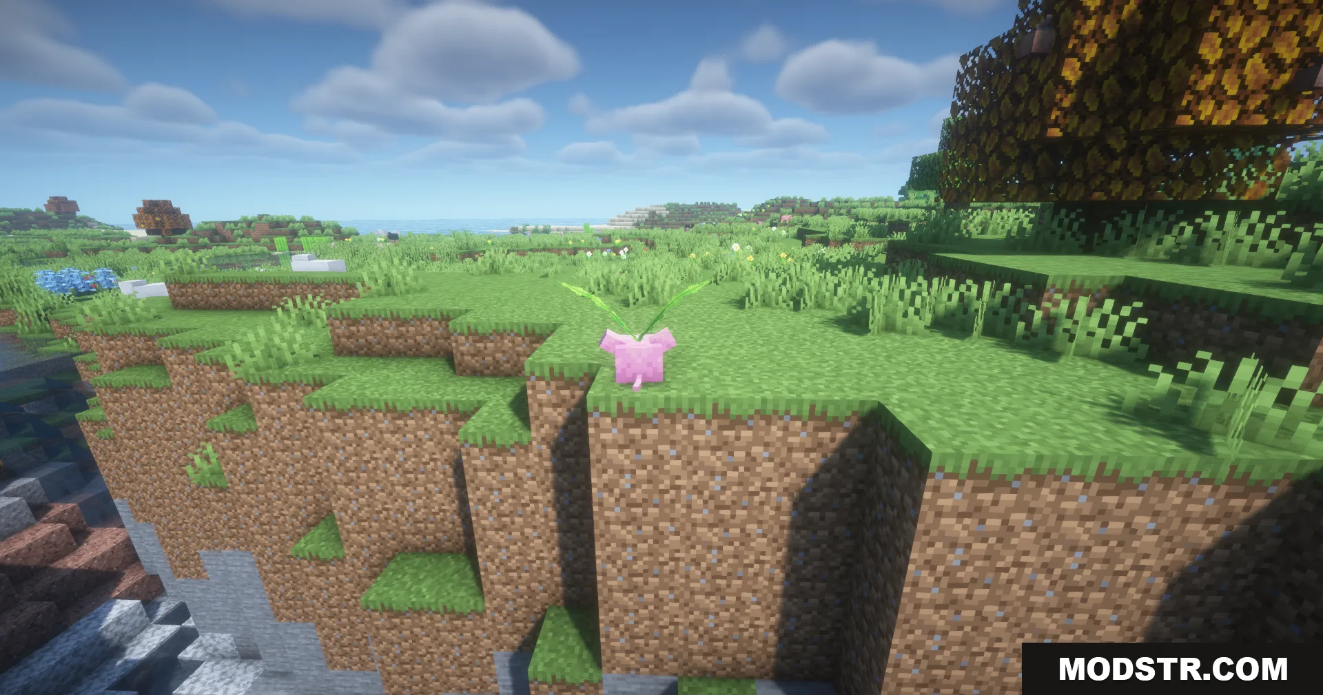 More Radical Trainers SV Data Pack Screenshot 9 More Radical Trainers SV Data Pack Screenshot 9