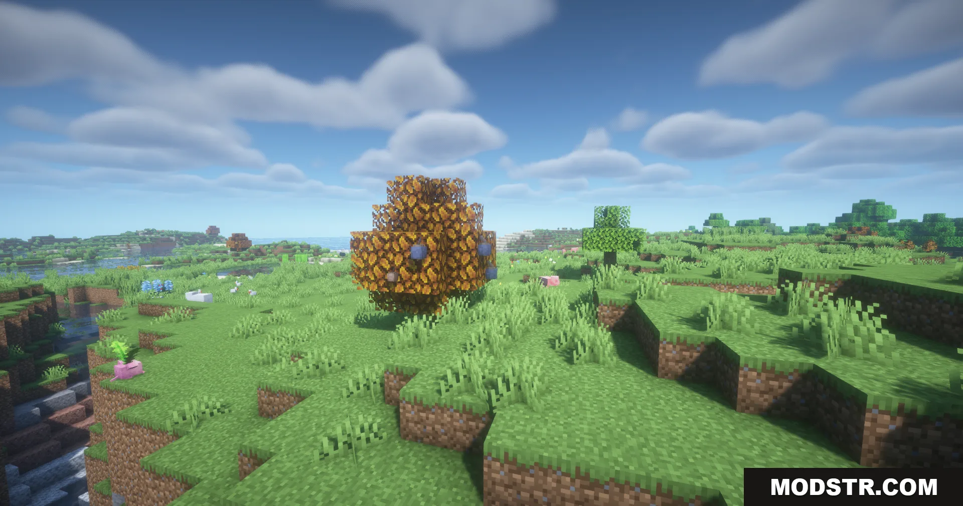 More Radical Trainers SV Data Pack Screenshot 8 More Radical Trainers SV Data Pack Screenshot 8
