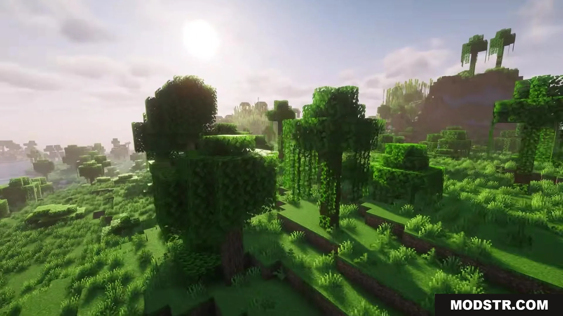 More Tree Sizes Mod Screenshot 3 Sunlight filters through the leaves of giant trees in a lush Minecraft forest
