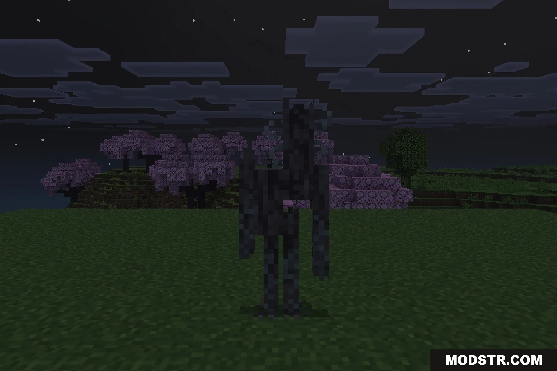 Morph Into Mobs Addon Screenshot 5 A tall shadowy creature standing in a field near pink cherry blossom trees