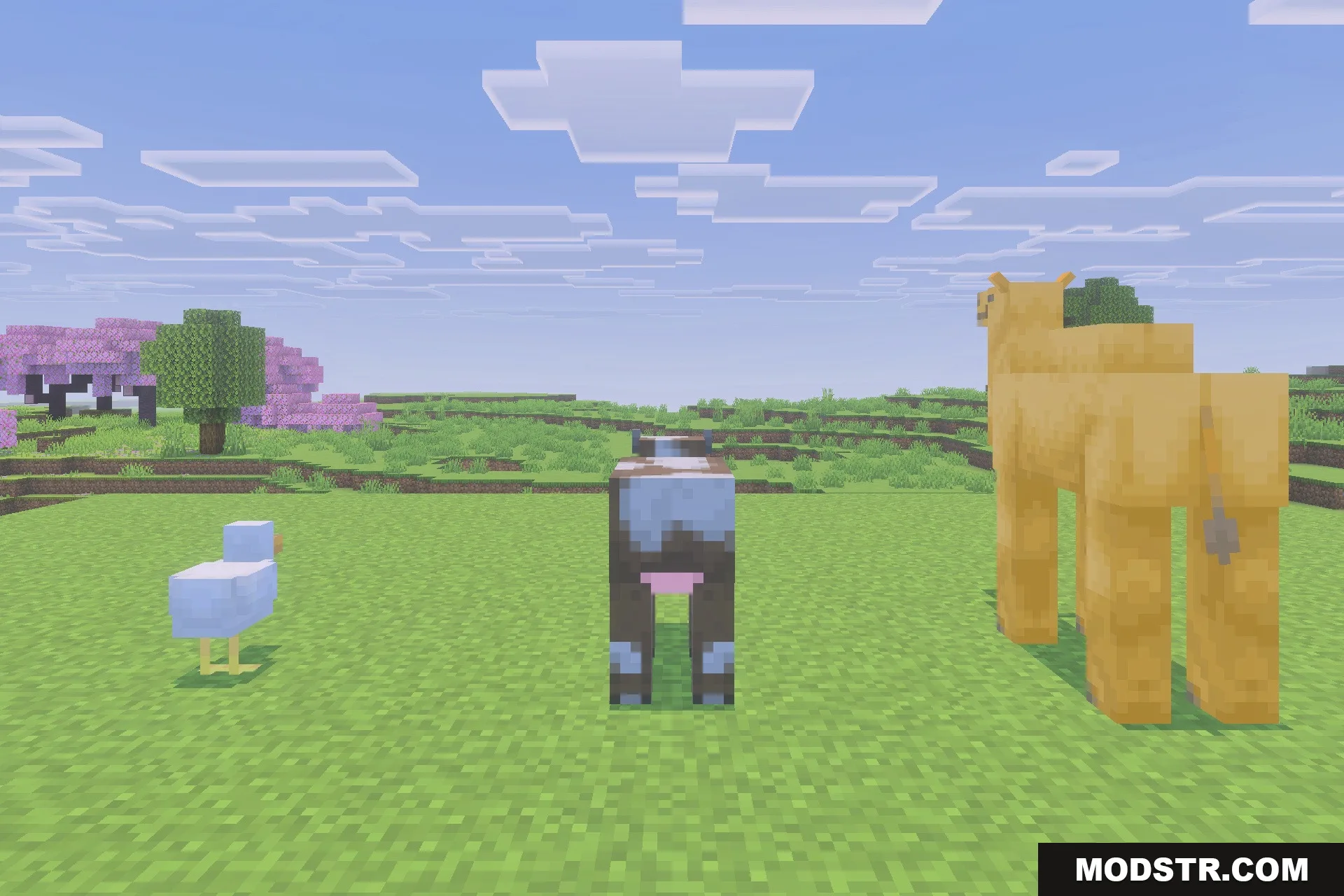 Minecraft Custom Rocks Item Morph Into Mobs Addon (26.x) β Turn Into Any Creature and Use Unique ...