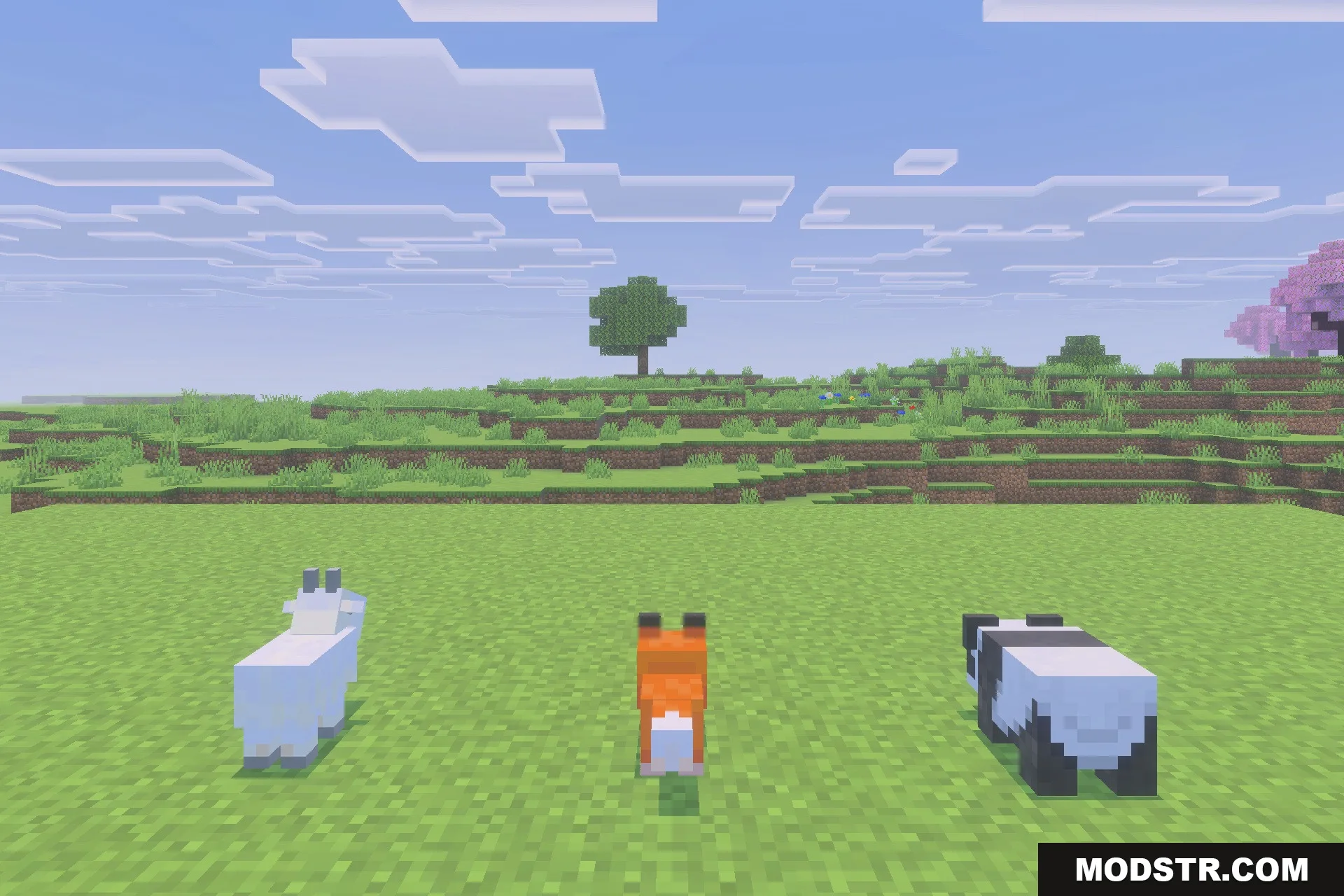 Minecraft Custom Rocks Item Morph Into Mobs Addon (26.x) β Turn Into Any Creature and Use Unique ...