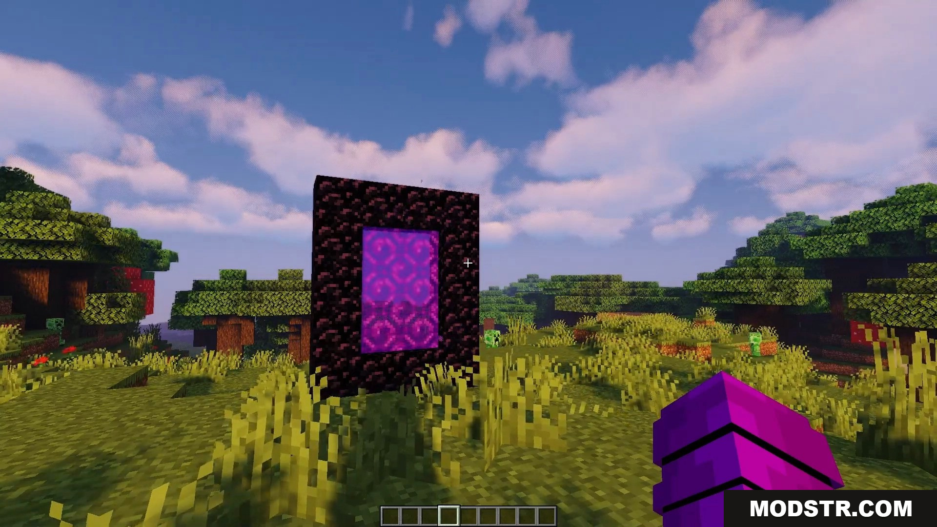 Active nether portal standing in a grassy plains biome during daytime