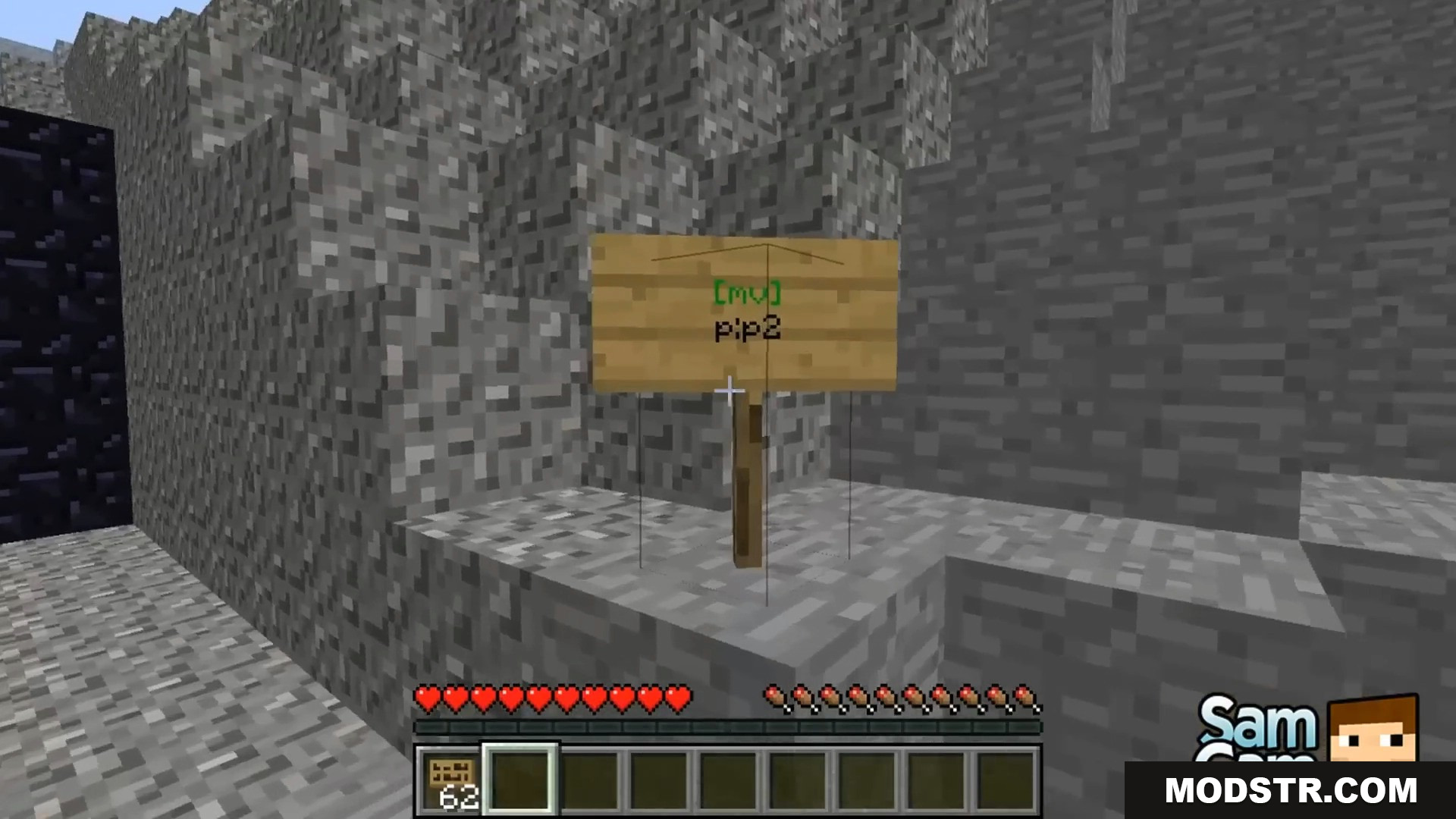 Wooden sign with green text acting as a Multiverse portal