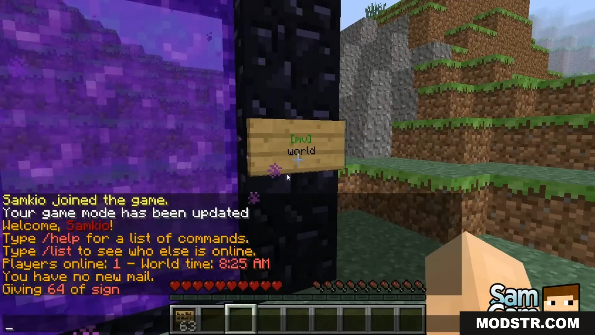 Player placing a wooden sign on a nether portal