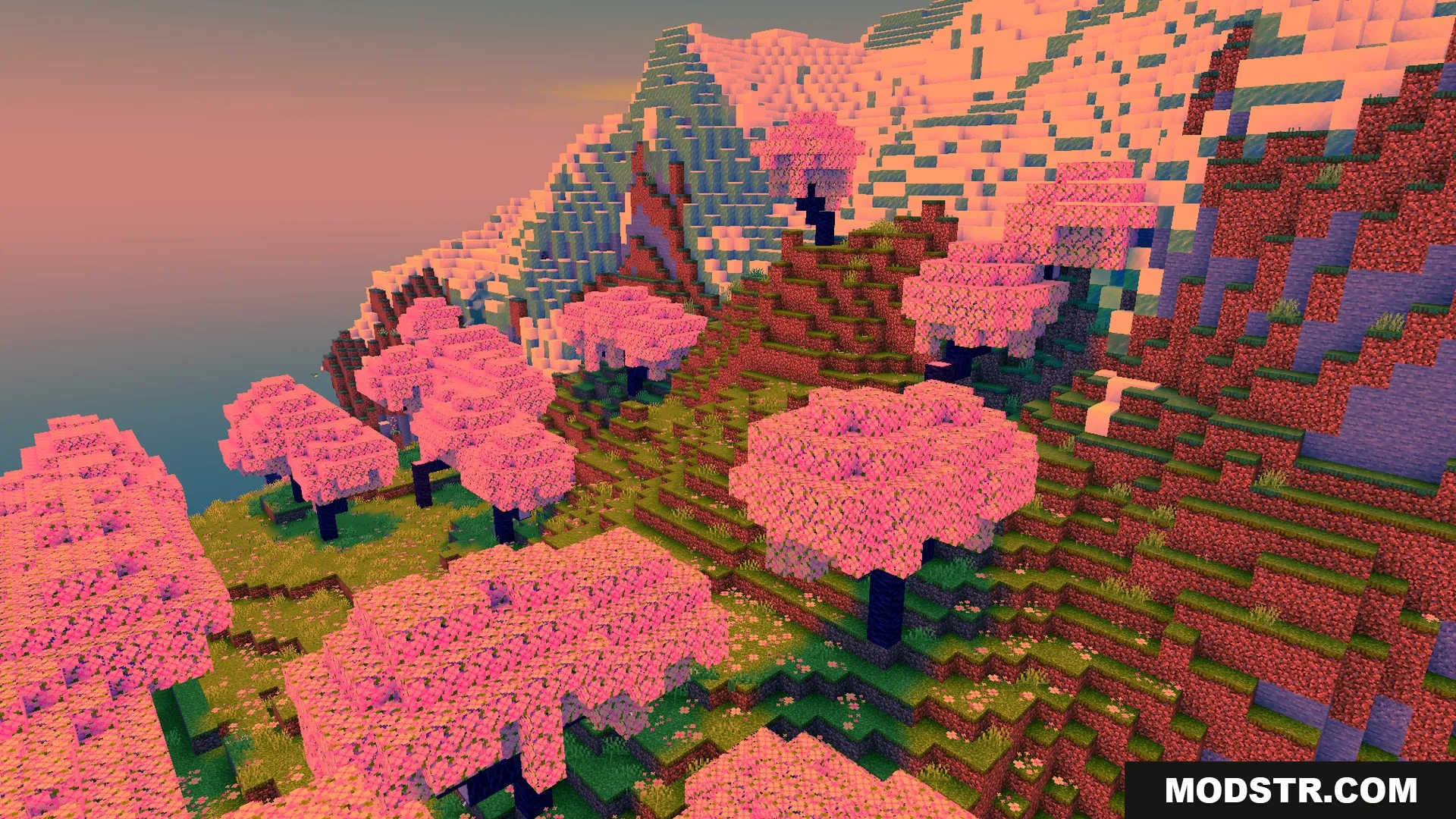 Newb Complementary Shader Screenshot 2 Cherry blossom grove with soft shadows and warm shader light