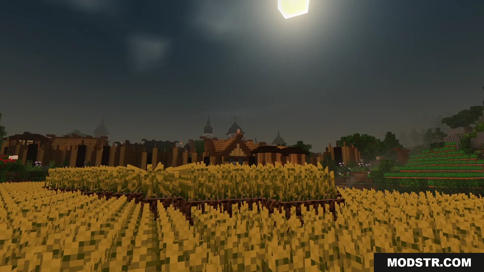 A vast wheat field under a dark sky using Newb Nightfall Shader