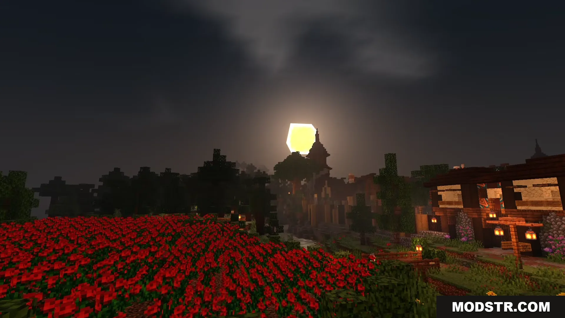 Red flower field and a Minecraft village with lanterns under the moon
