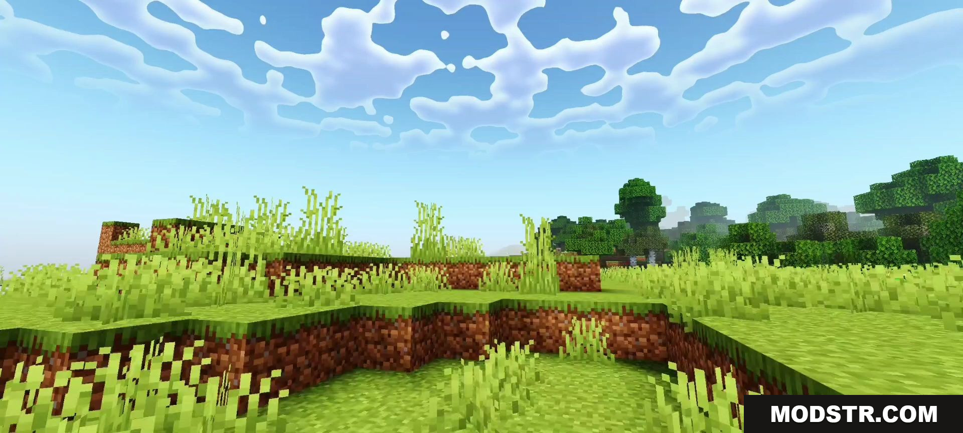 Bright daytime grassy terrain with tall grass and stylized clouds