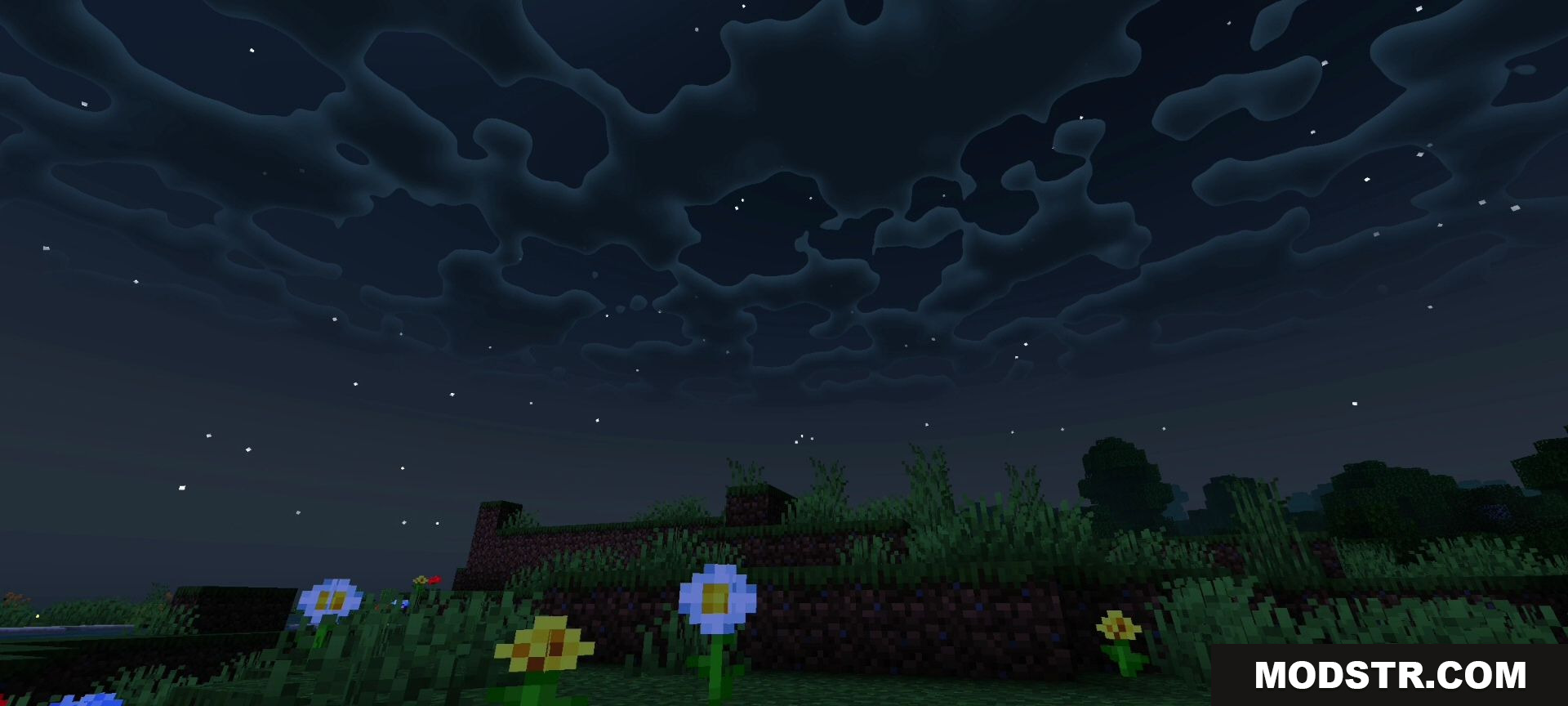 Dark night sky featuring wavy clouds and stars above flowers
