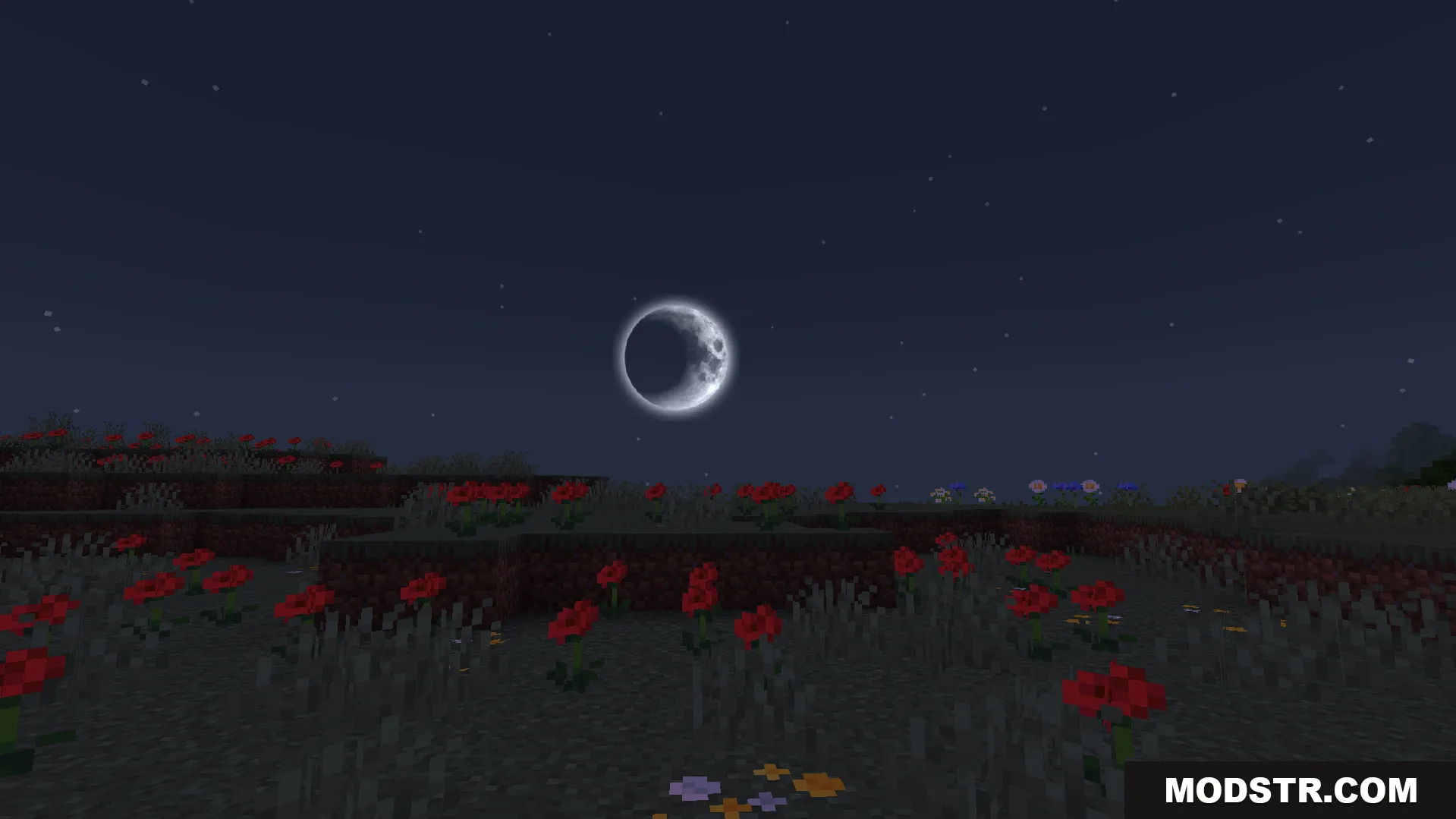 Crescent moon in a starry sky above a field of red poppies