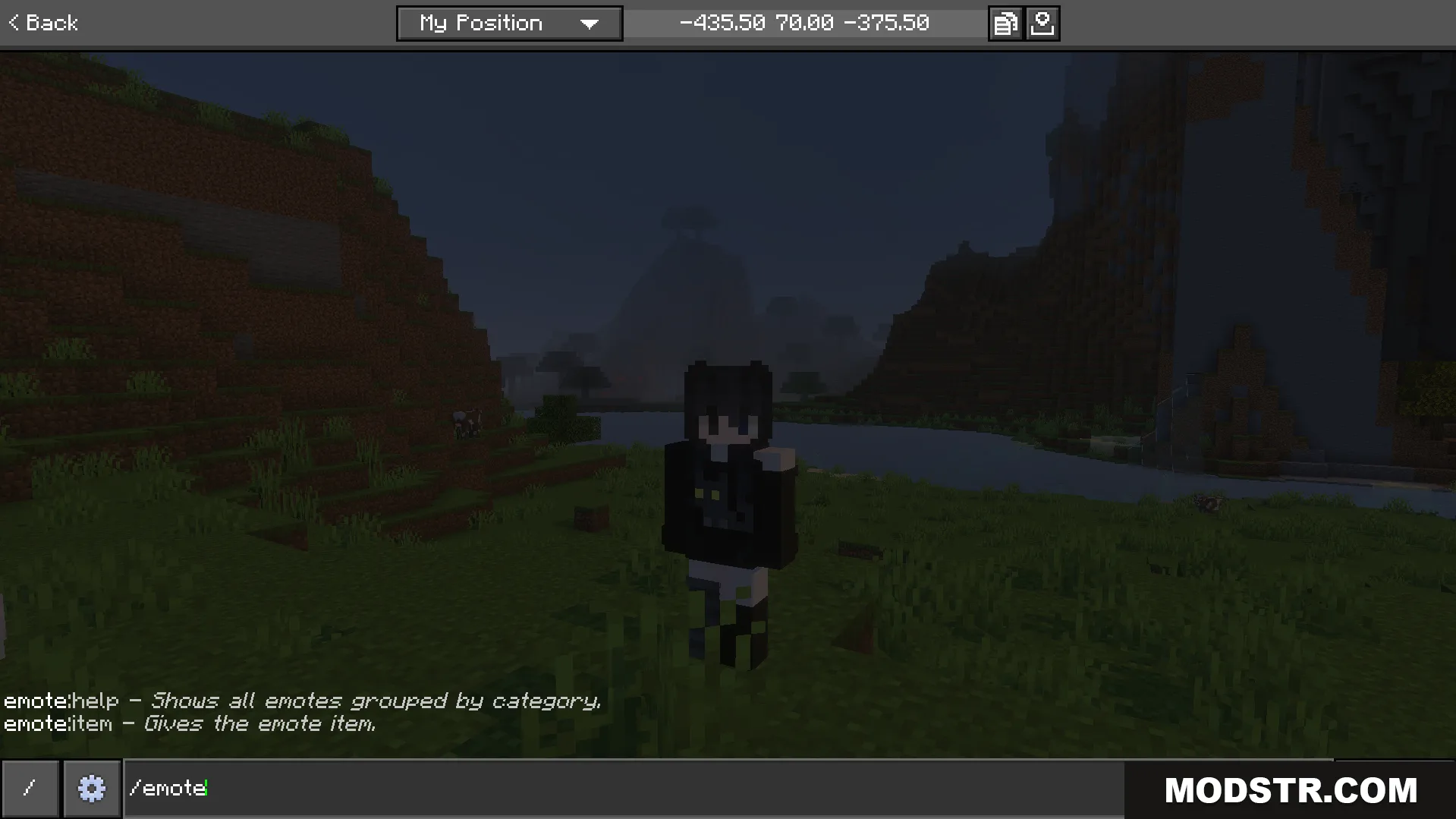 Not Enough Emotes Addon Screenshot 2 Typing a chat command to access the help menu for player animations