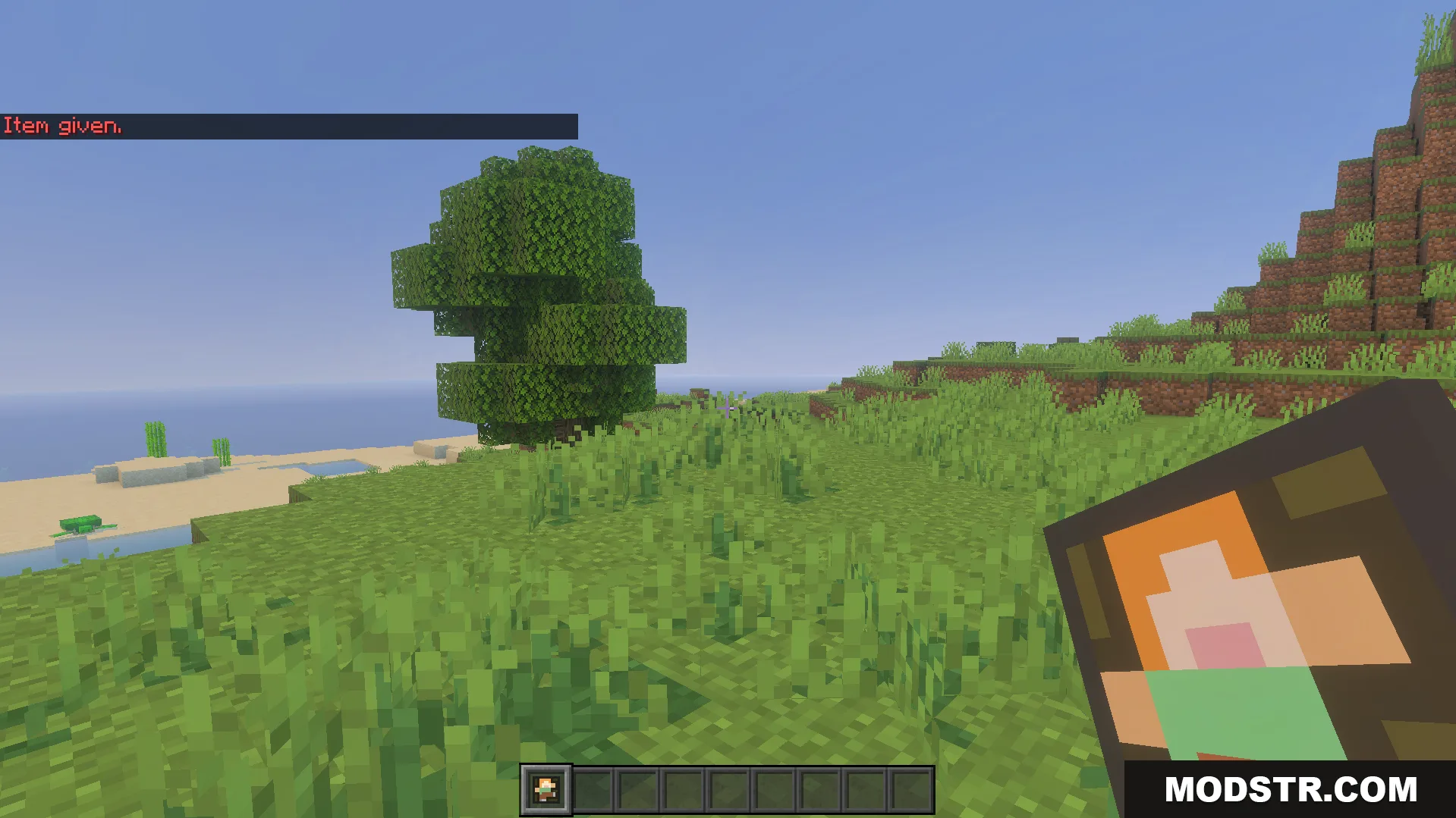 Not Enough Emotes Addon Screenshot 3 Player holding the special item from the Not Enough Emotes Addon