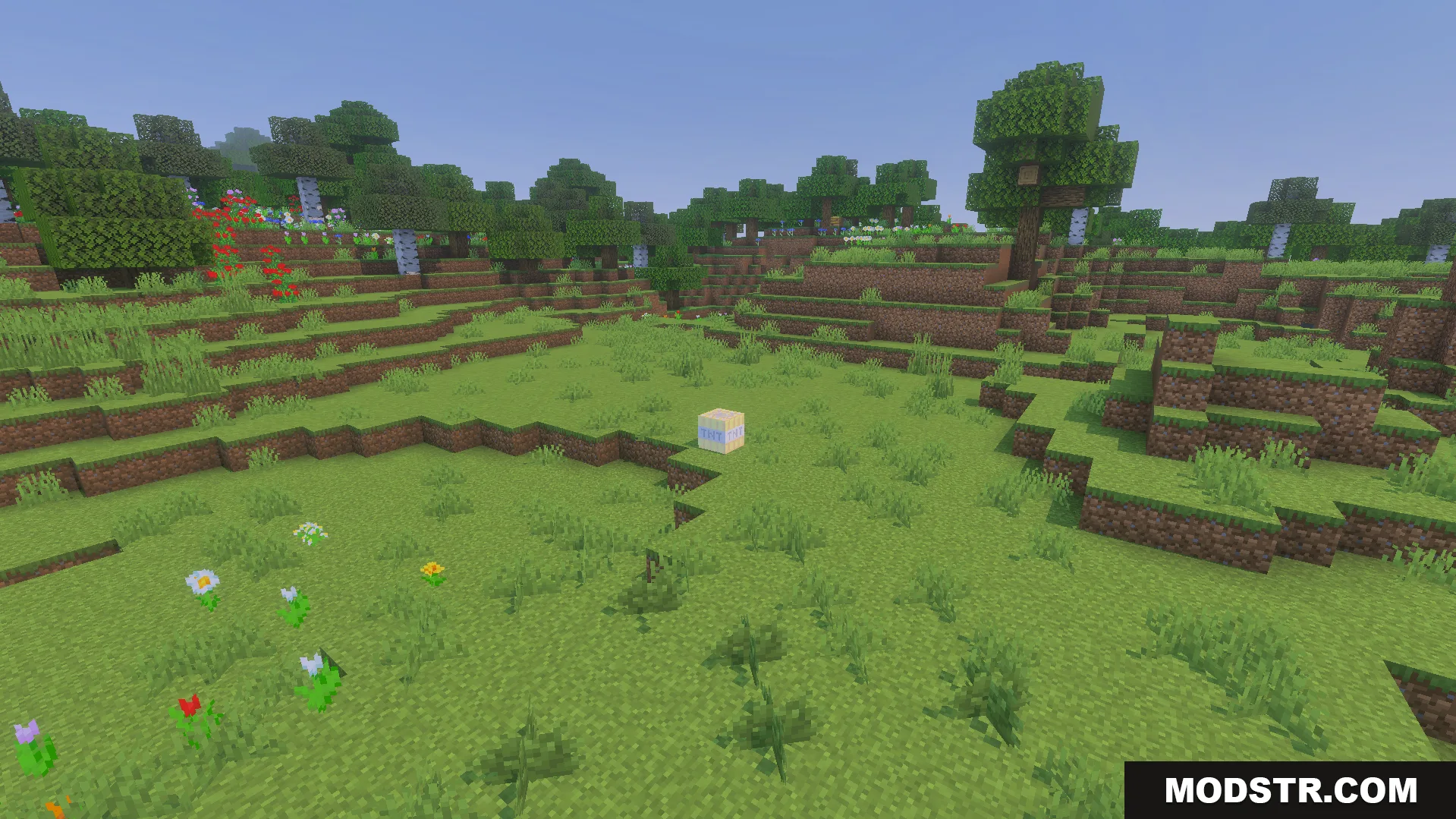 Not Enough TNT Addon Screenshot 10 Single explosive block placed in grassy field