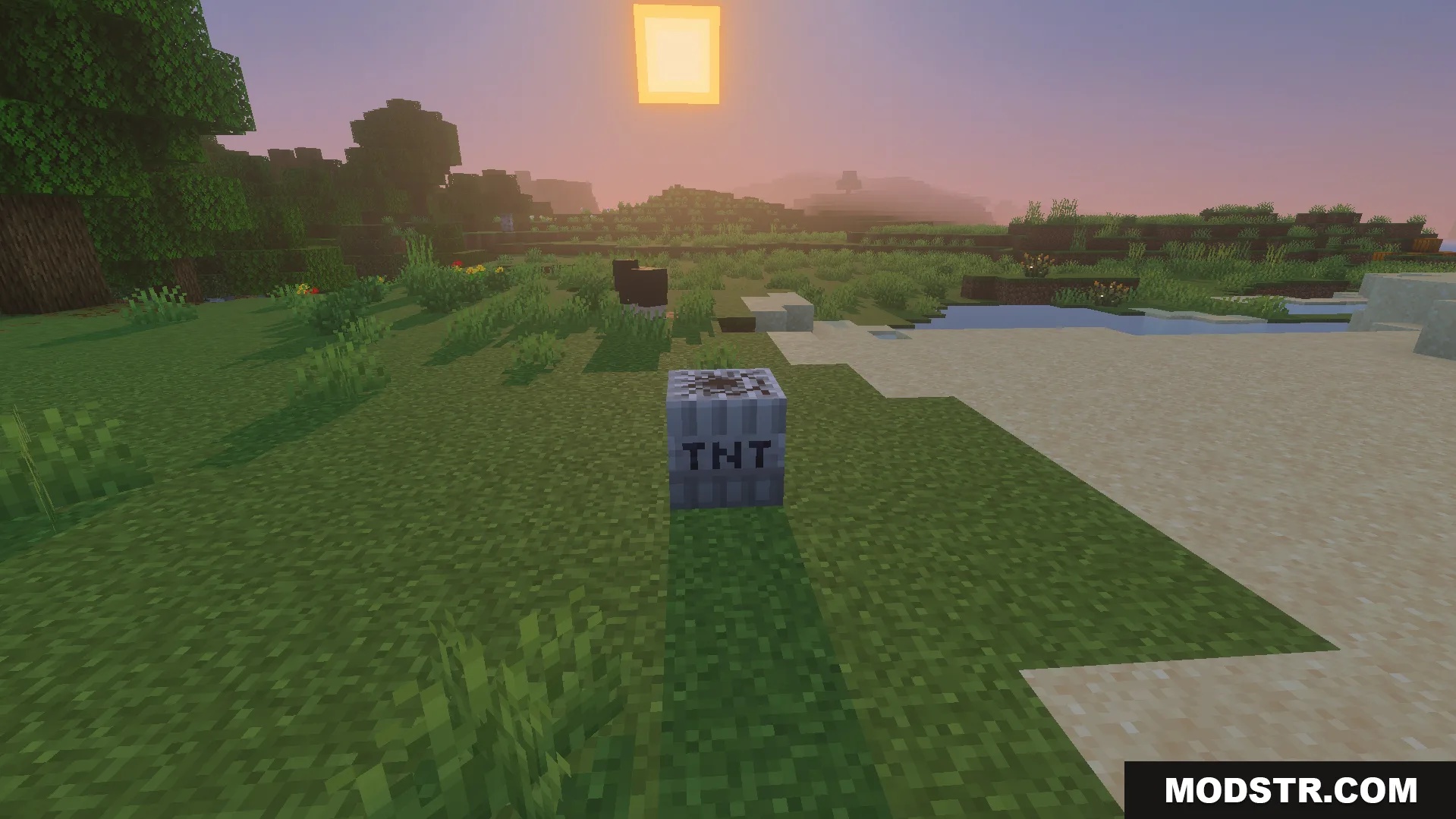 Not Enough TNT Addon Screenshot 3 A fake explosive block placed on the grass to prank your friends