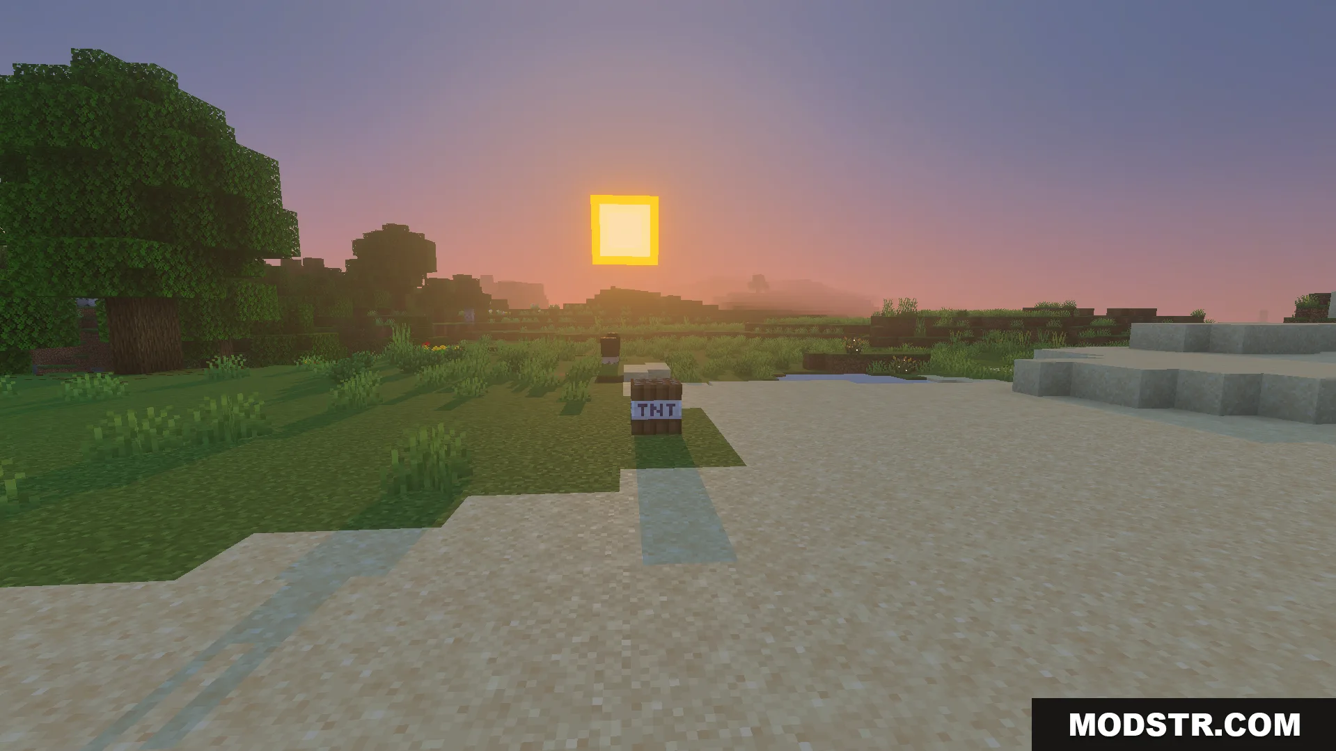 Not Enough TNT Addon Screenshot 6 A single fake explosive block placed on the grass near sand