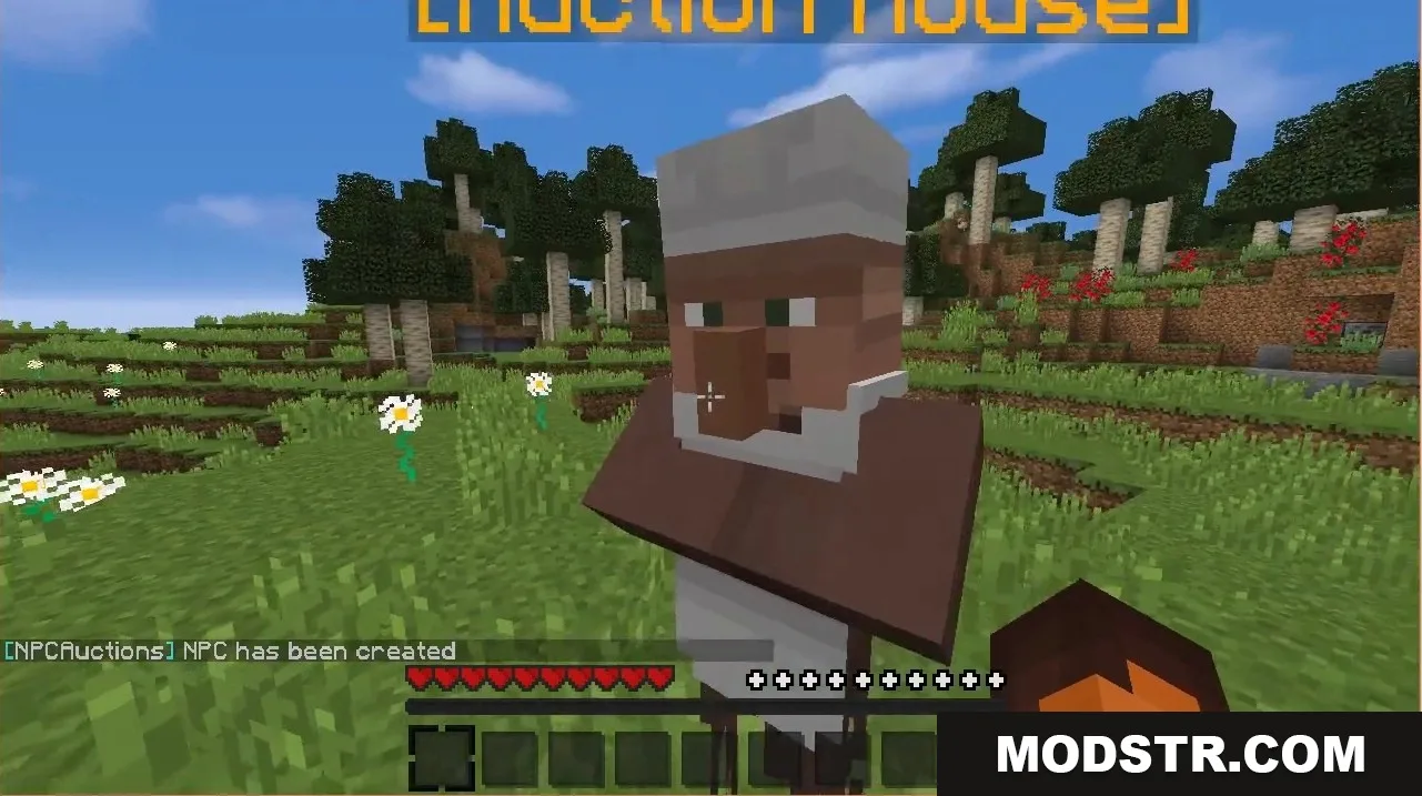 NPC Auctions Plugin Screenshot 1 Creating an auctioneer NPC with the NPCAuctions mod
