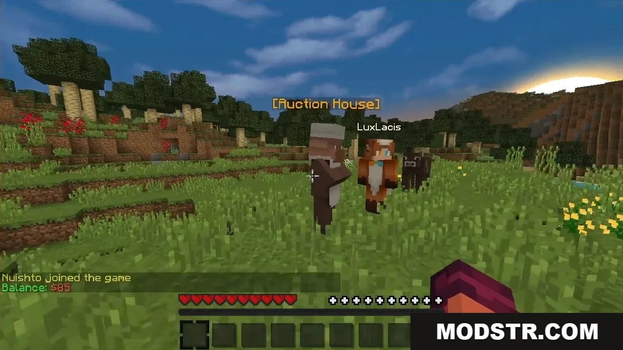 NPC Auctions Plugin Screenshot 5 An Auction House villager NPC in a grassy field