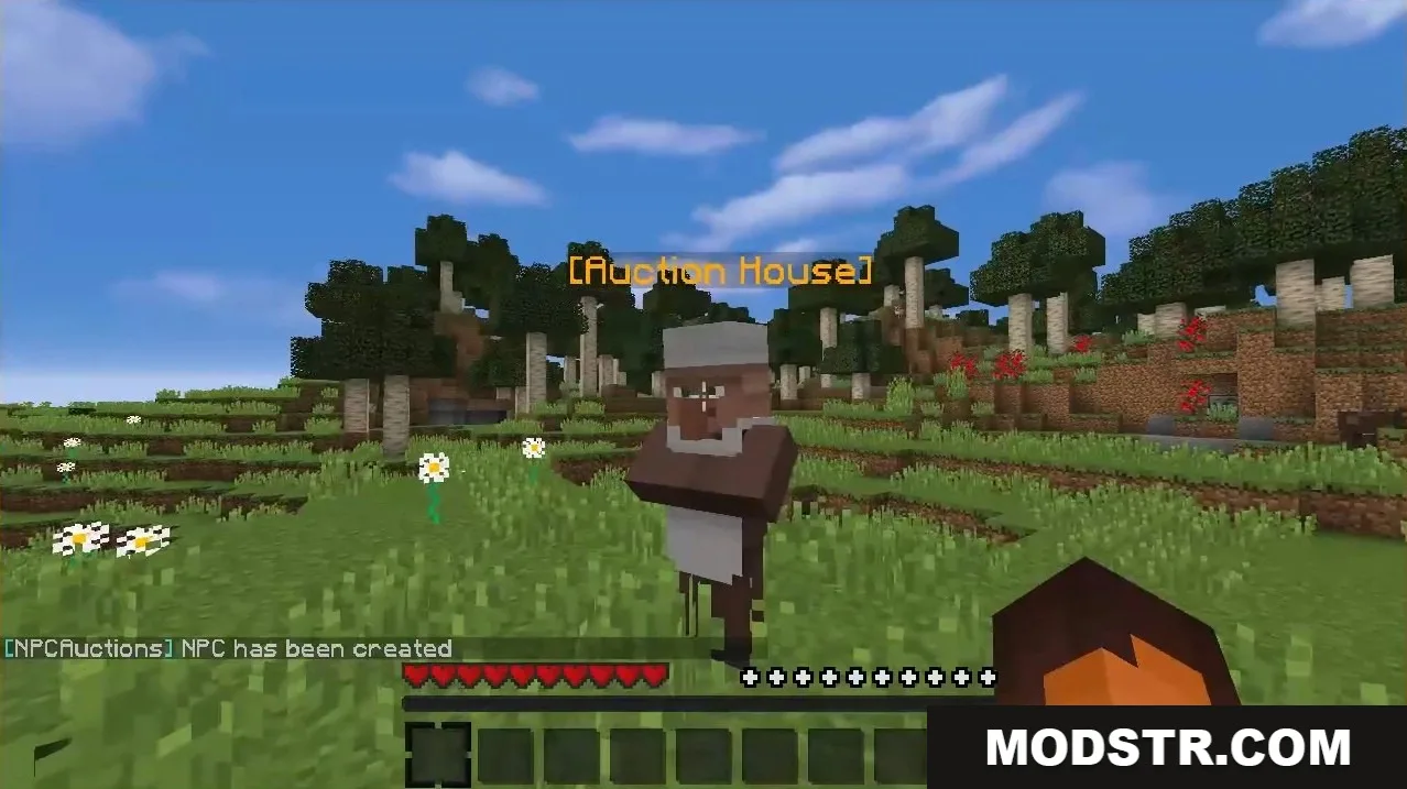 NPC Auctions Plugin Screenshot 2 An Auction House NPC villager stands in a field