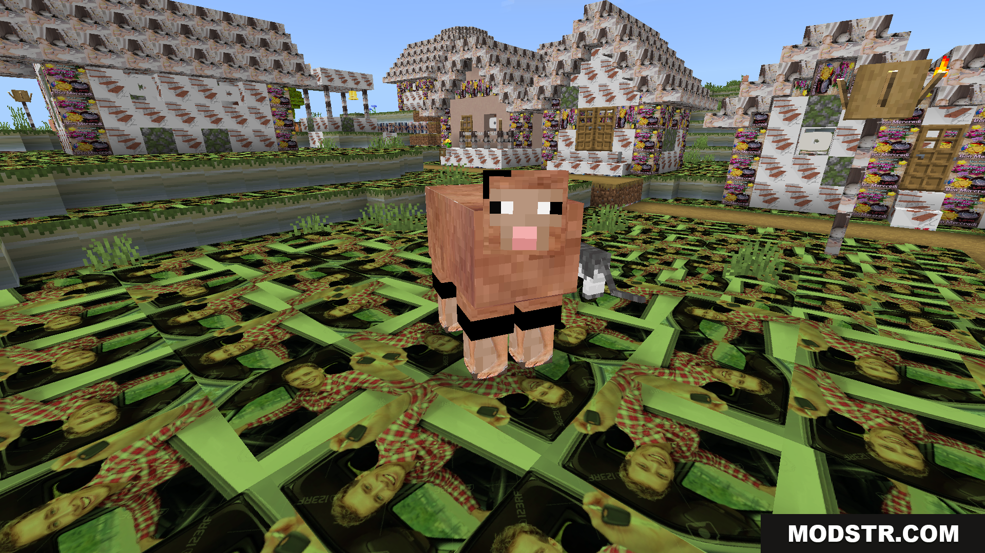 Objet Traduit 100x Natop Texture Pack Screenshot 10 A sheep in a chaotic world with funny translated textures