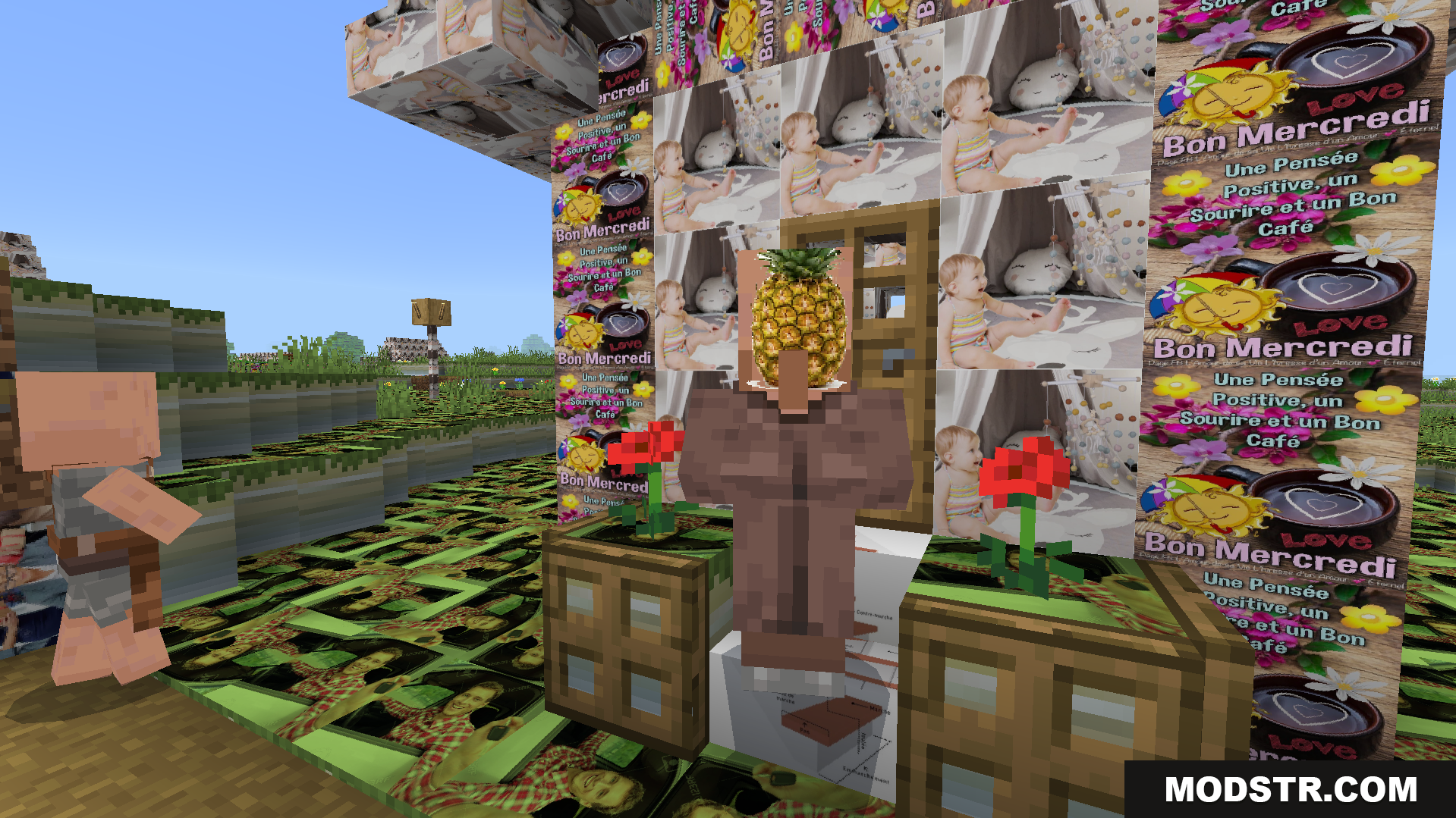 Objet Traduit 100x Natop Texture Pack Screenshot 6 Funny new textures based on crazy translations change the entire world