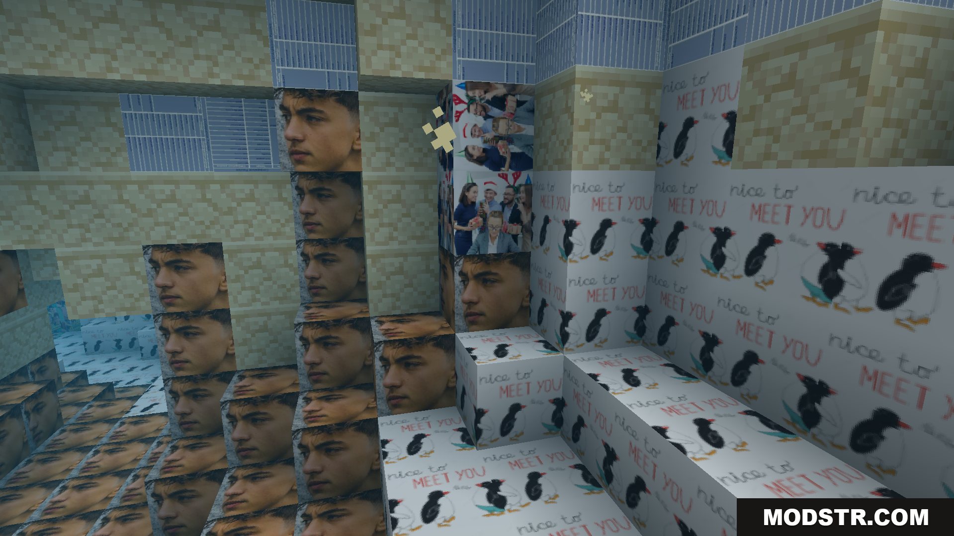Objet Traduit 100x Natop Texture Pack Screenshot 5 Hilarious new textures with faces and penguins cover the game blocks