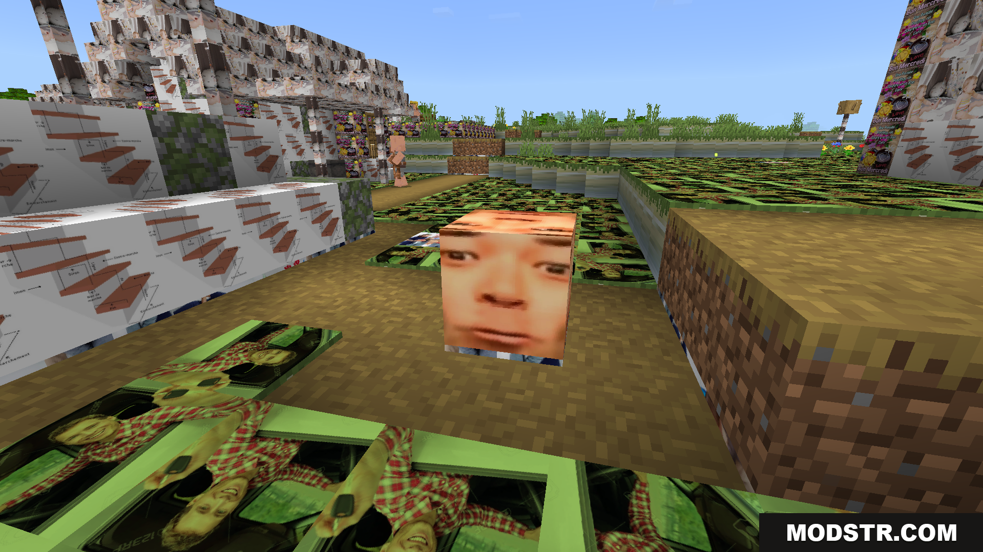 Objet Traduit 100x Natop Texture Pack Screenshot 8 A single block shows a funny new texture in a chaotic world